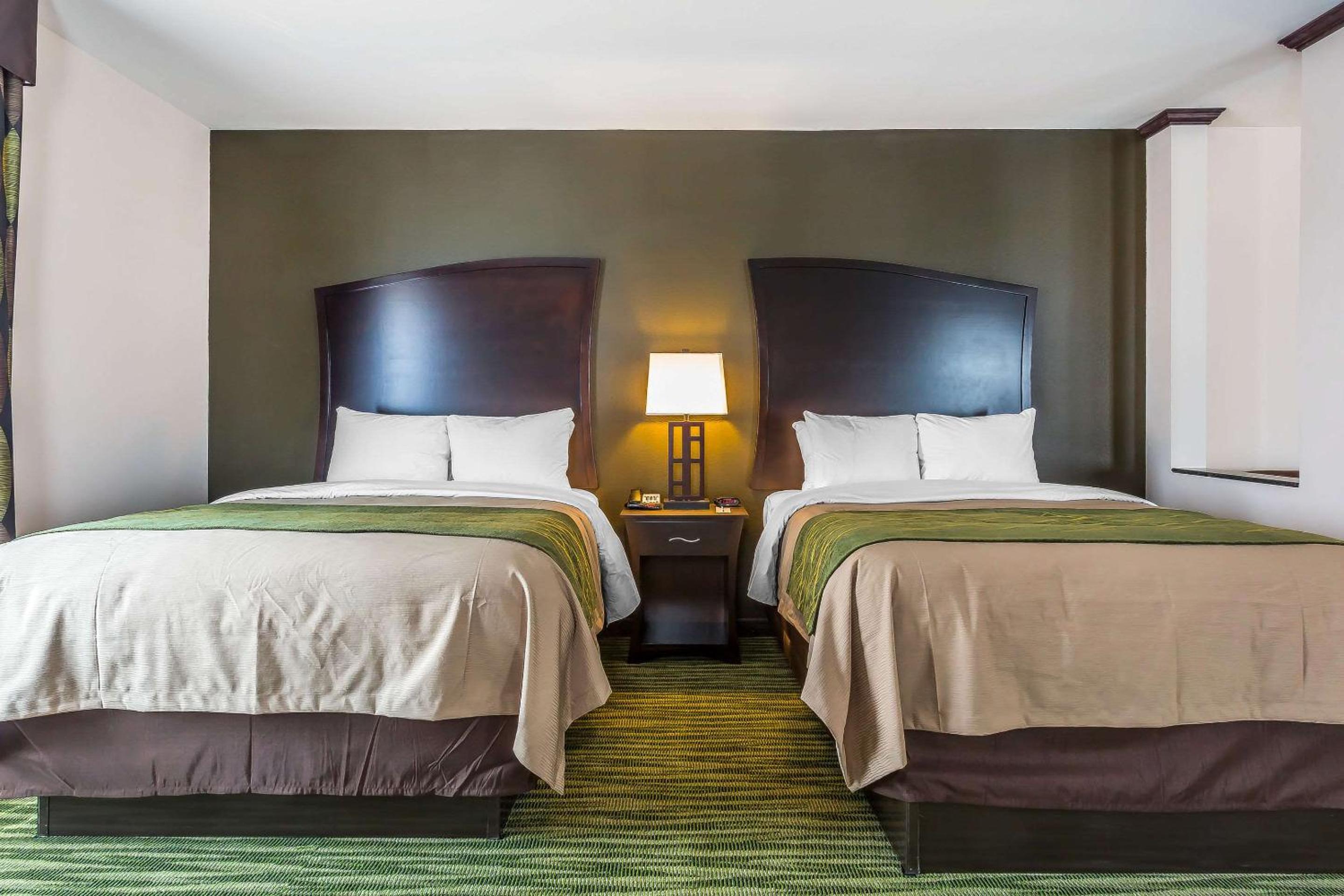 Queen Suite with Two Queen Beds and Sofa Bed photo 1