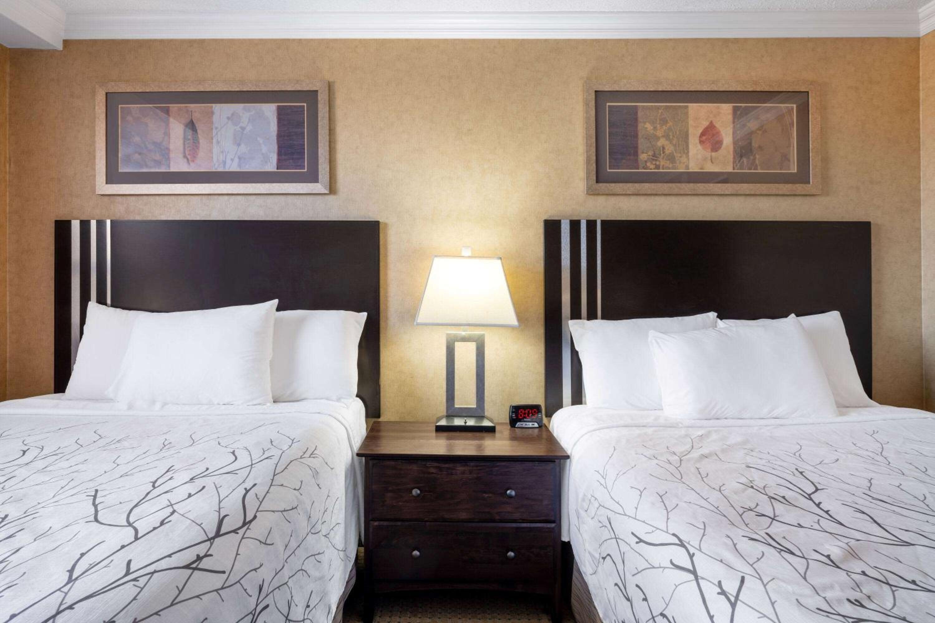 Queen Room with Two Queen Beds - Non-Smoking - Photo 1