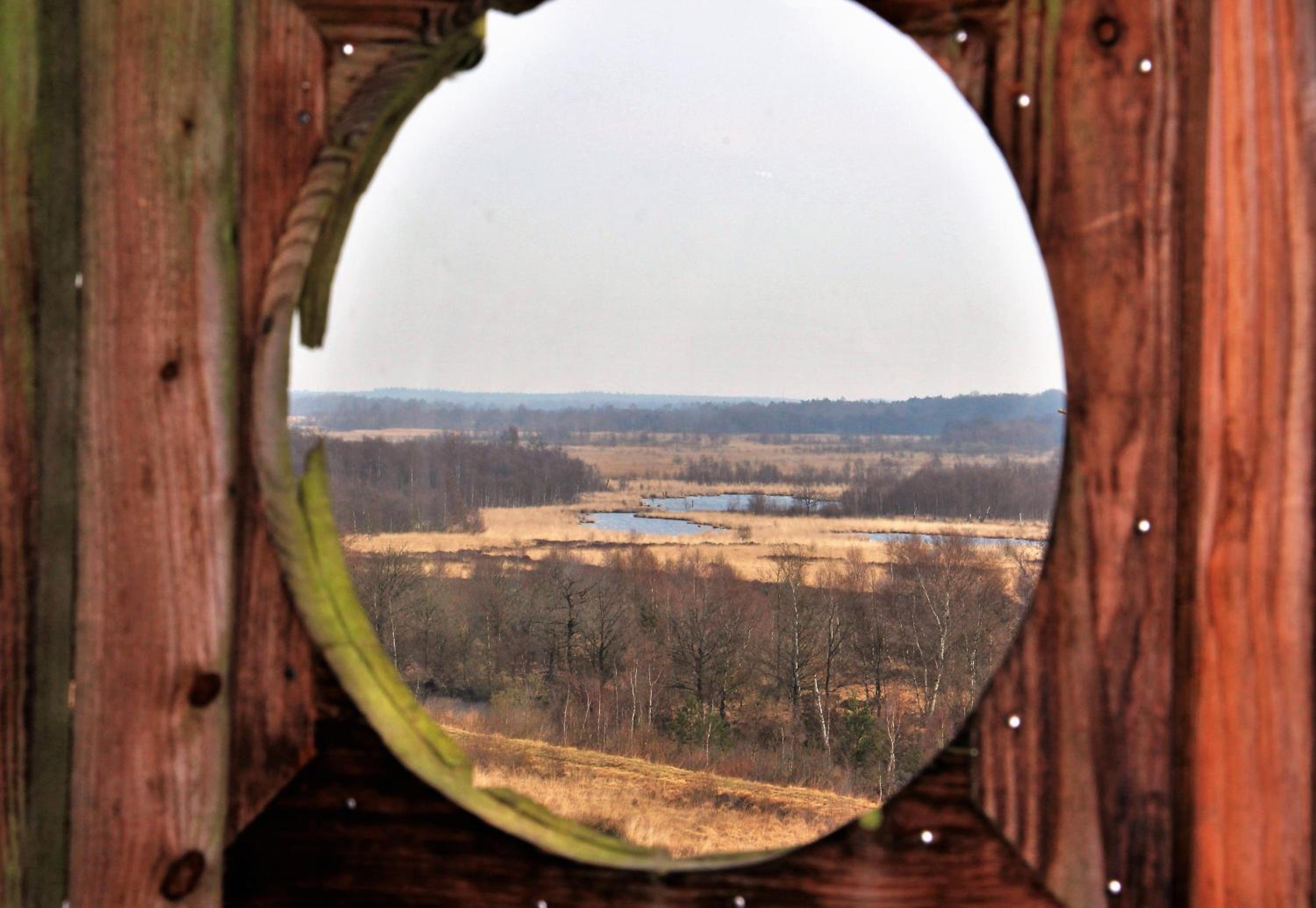 Twin Room with Garden View - Photo 9