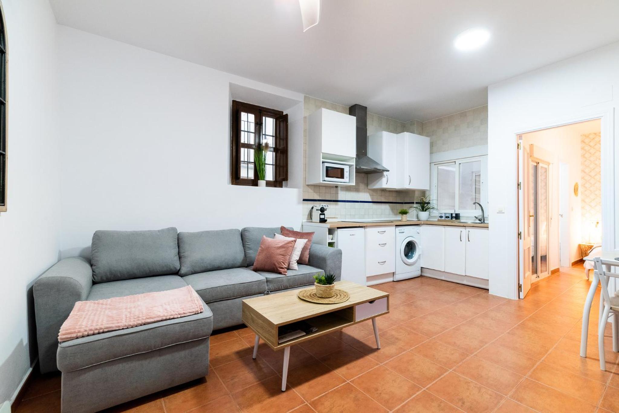 Apartamento de una habitación