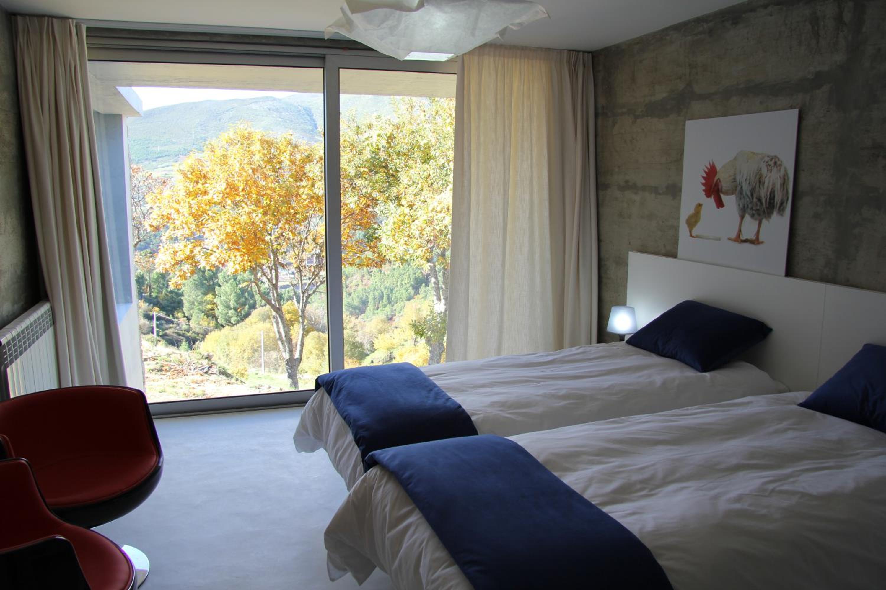 Medium Twin Room - Photo 4