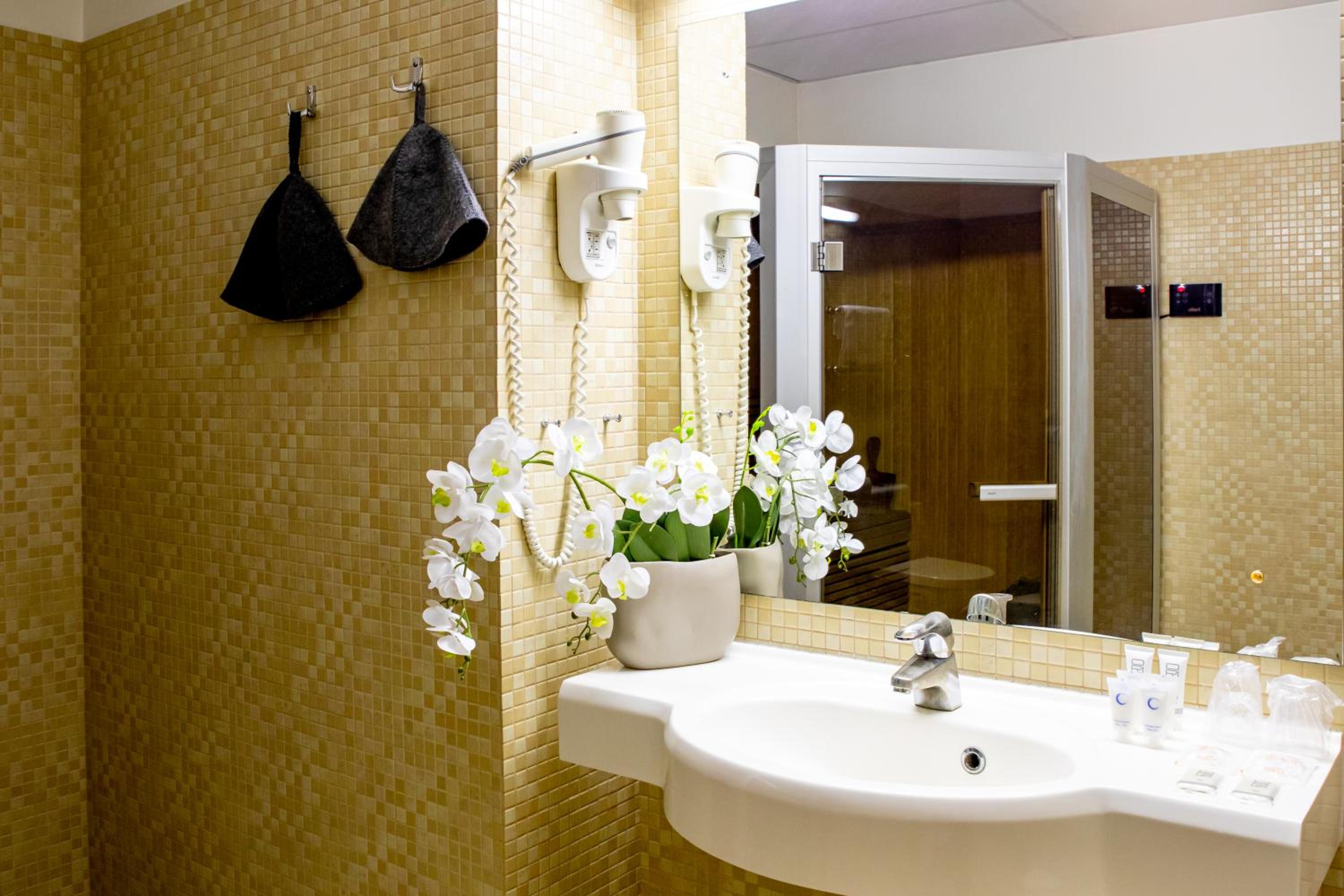 Suite with Sauna photo 2