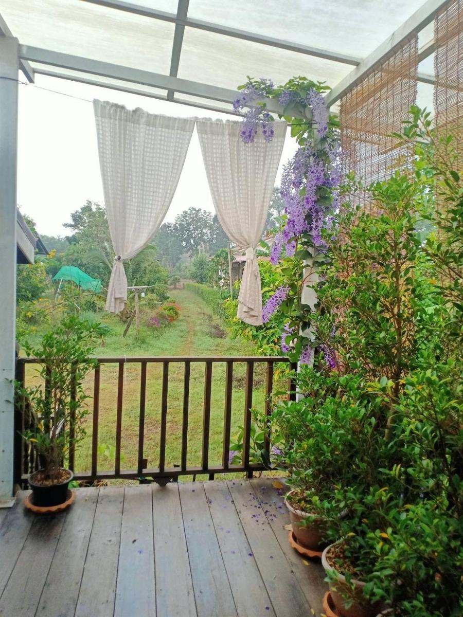 One-Bedroom House photo 2