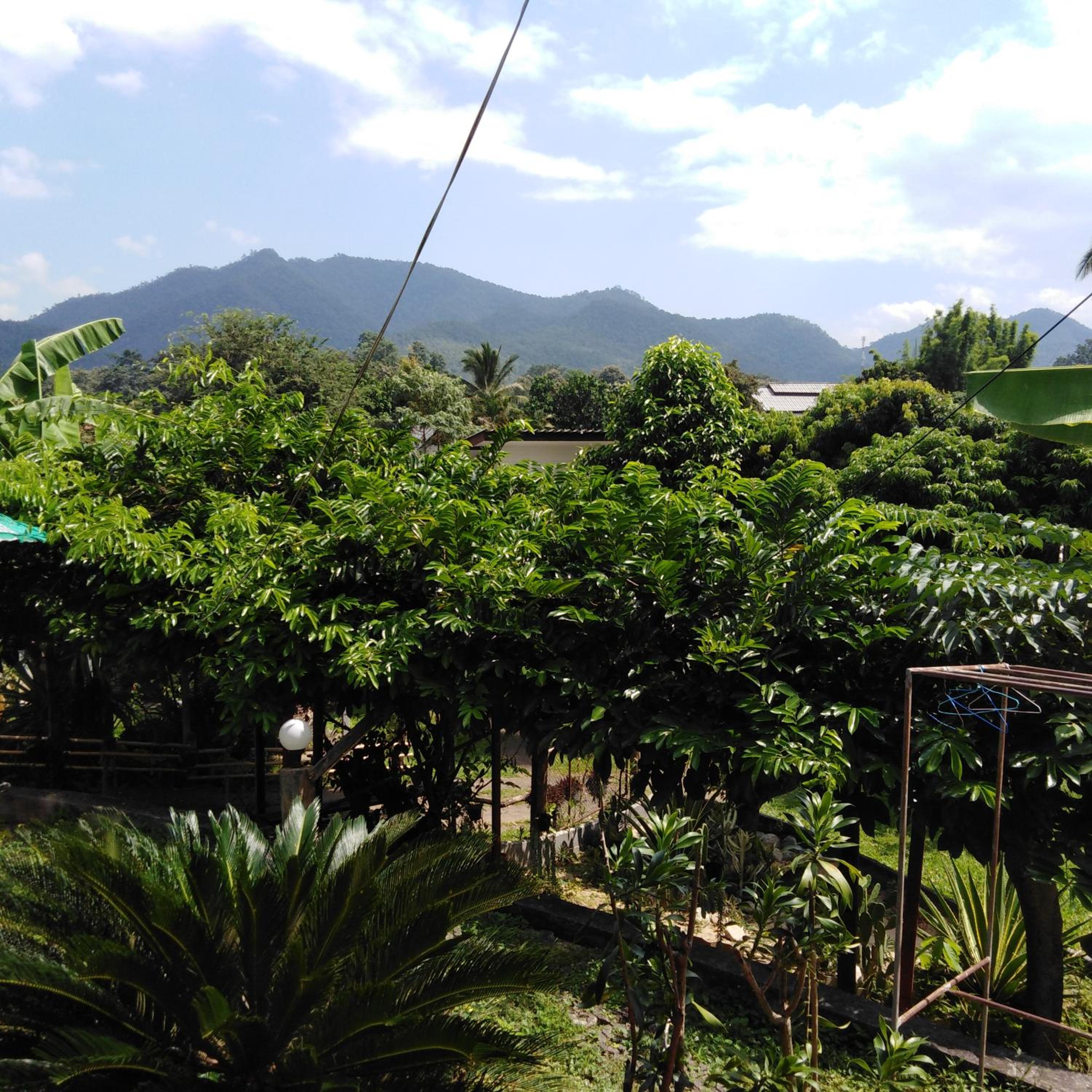 Twin Room with Garden View - Photo 4