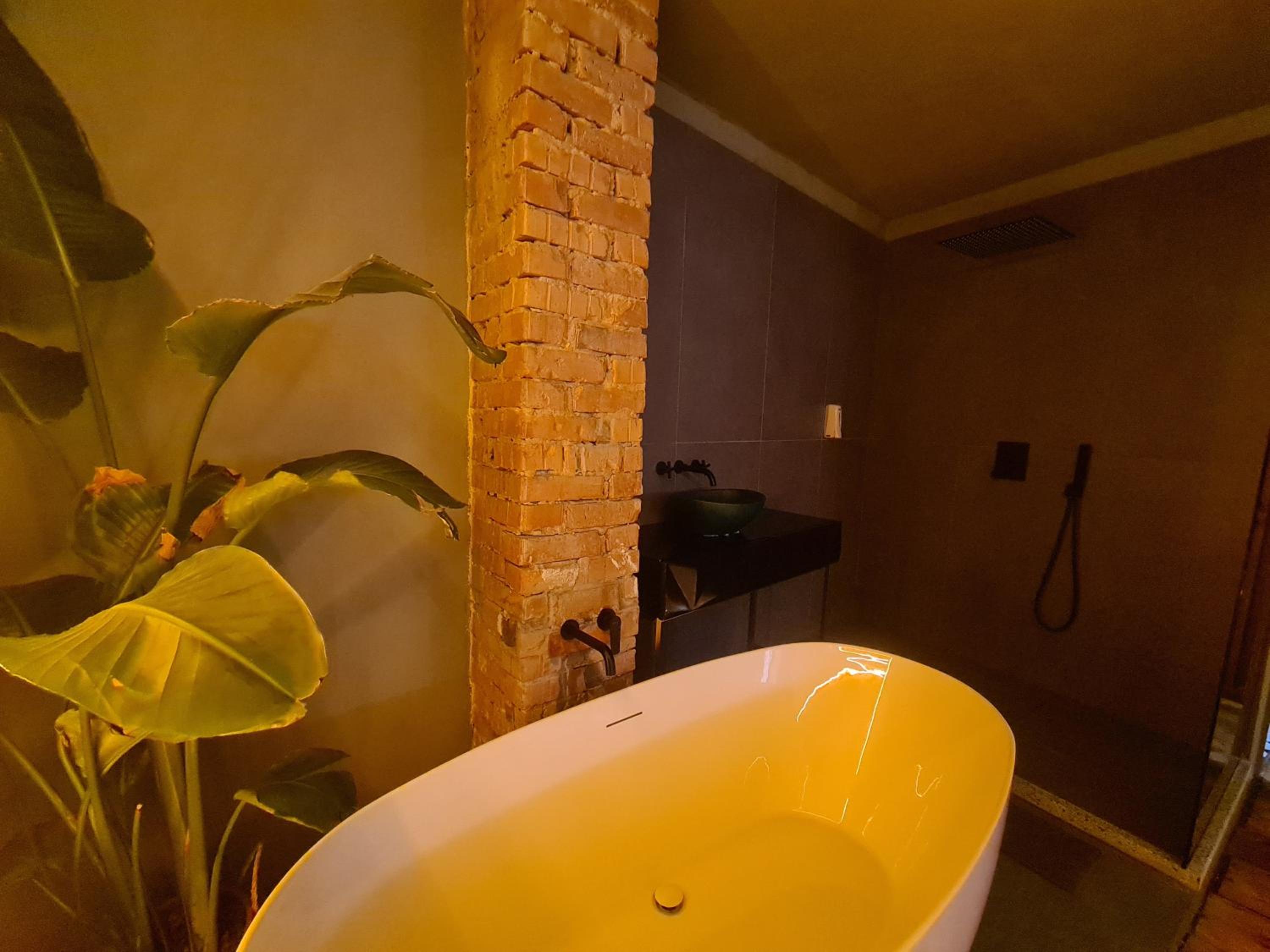 Studio with Terrace - Photo 5