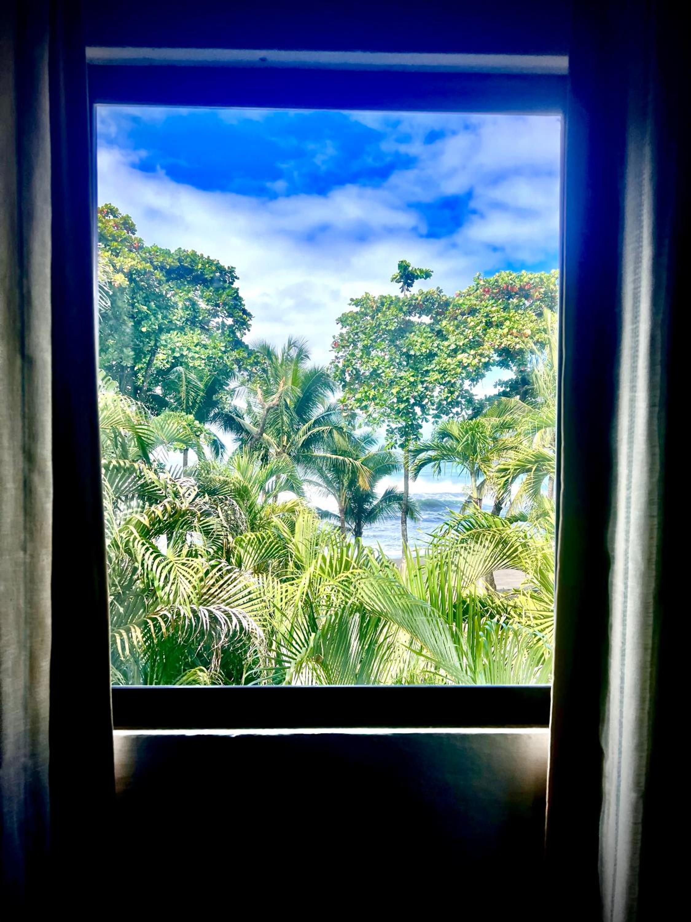 Studio with Ocean View photo 2