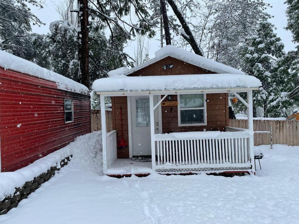 One-Bedroom House photo 2