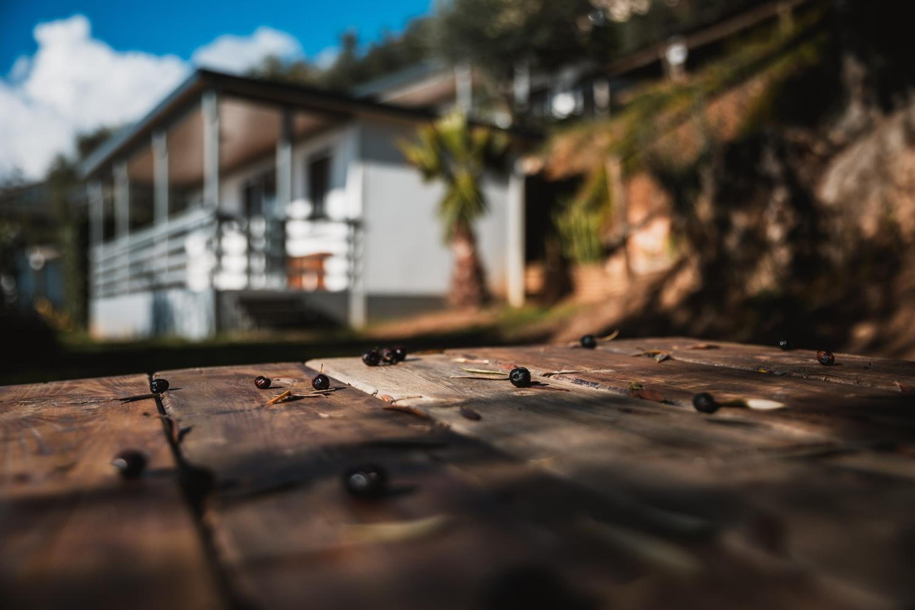 Bungalow with Sea View - Photo 7