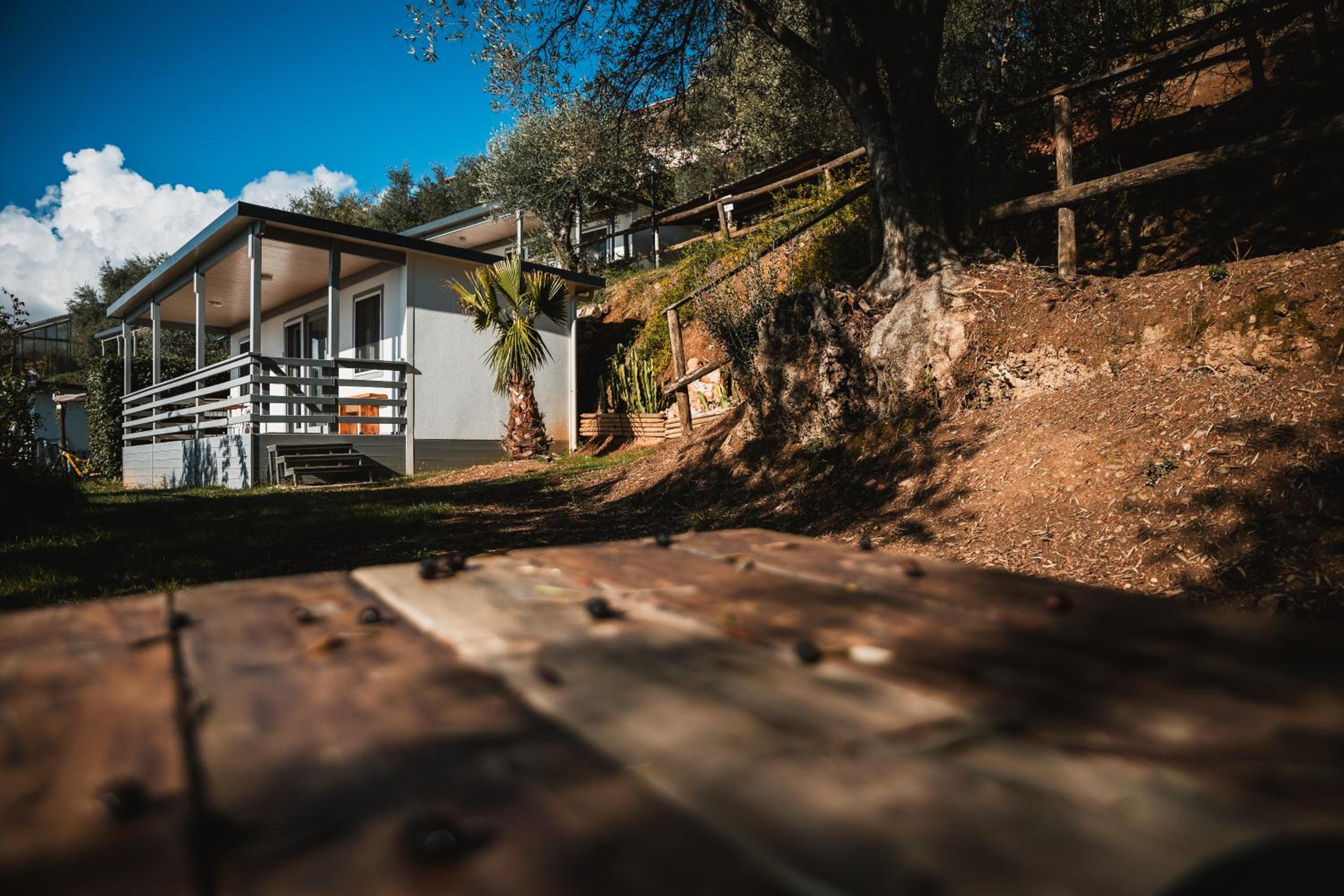 Bungalow with Sea View - Photo 8