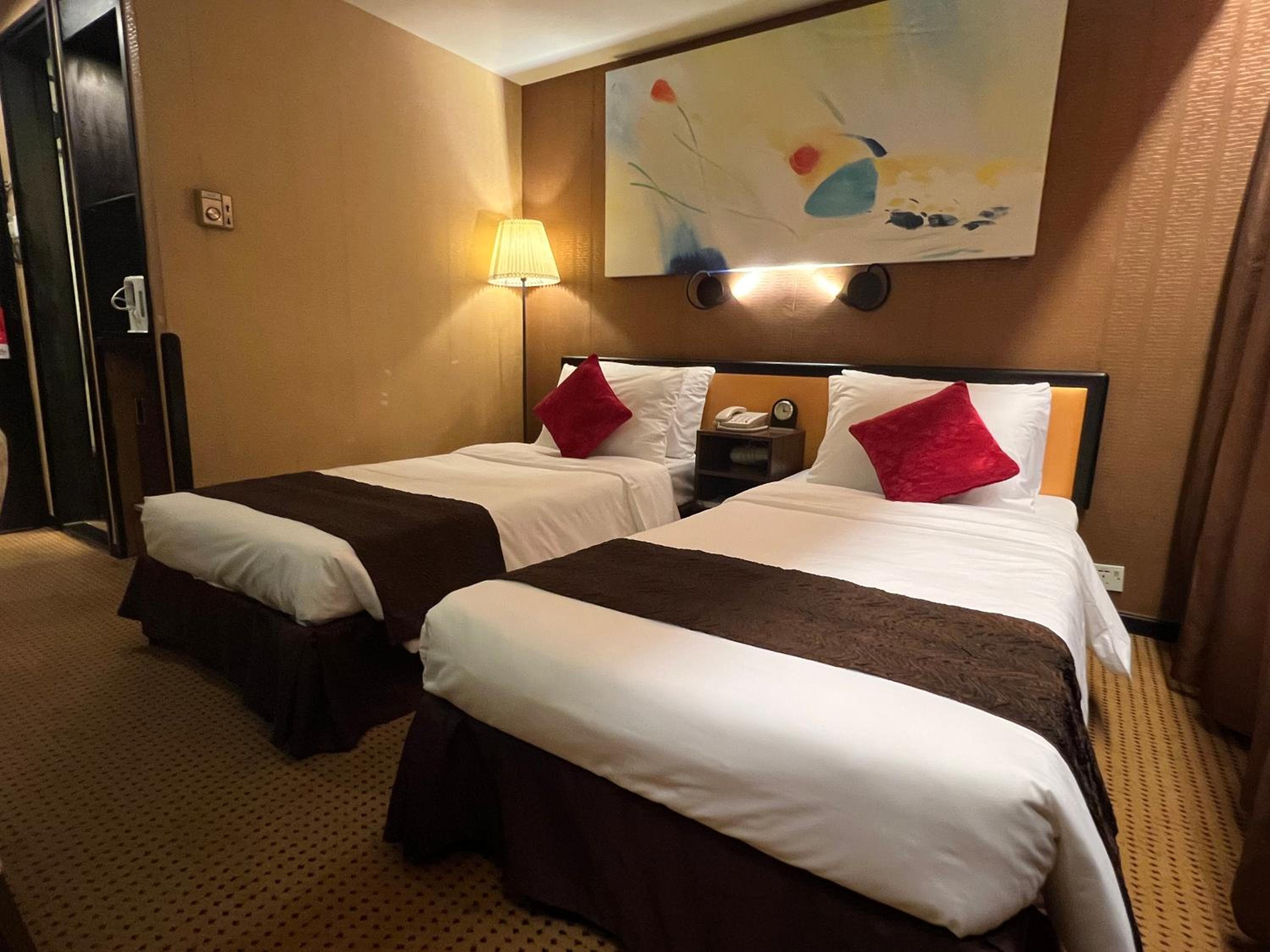 Superior Double or Twin Room with City View photo 3