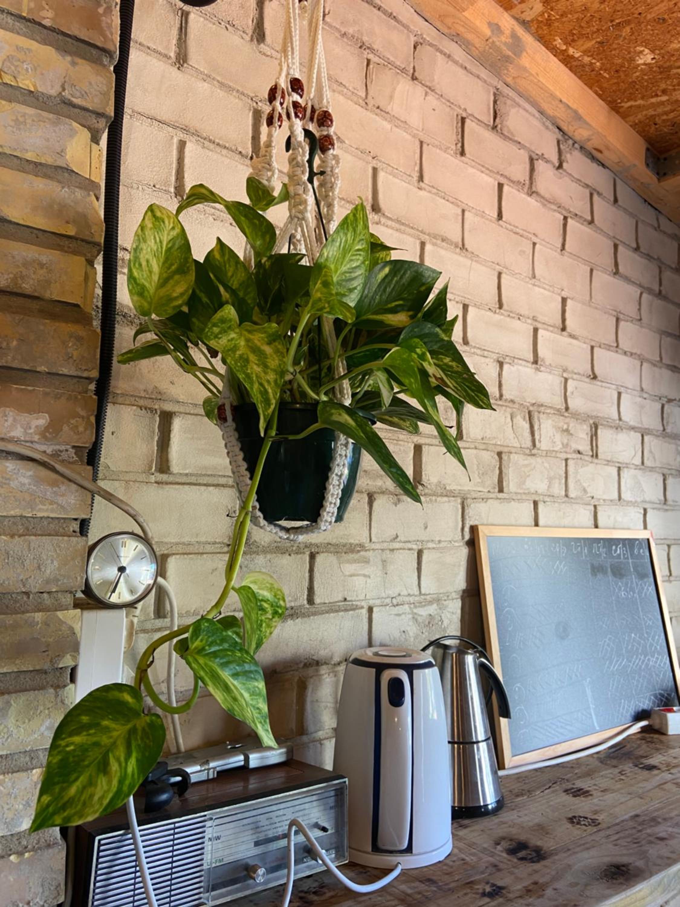 Hostal Orange Vibes, Billede 10
