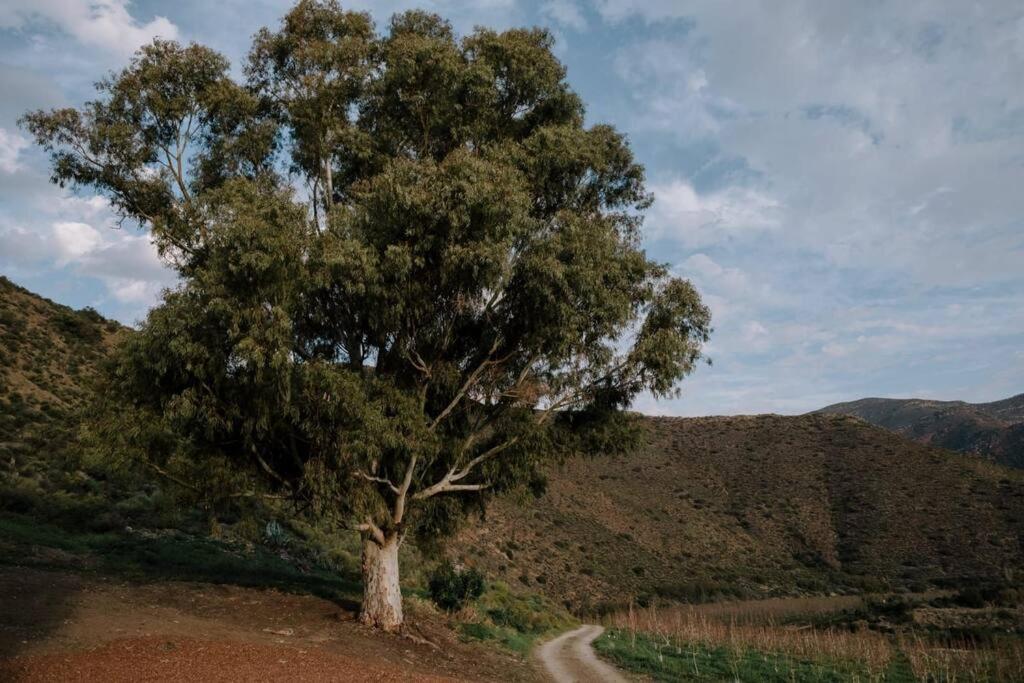 Two-Bedroom Apartment photo 3