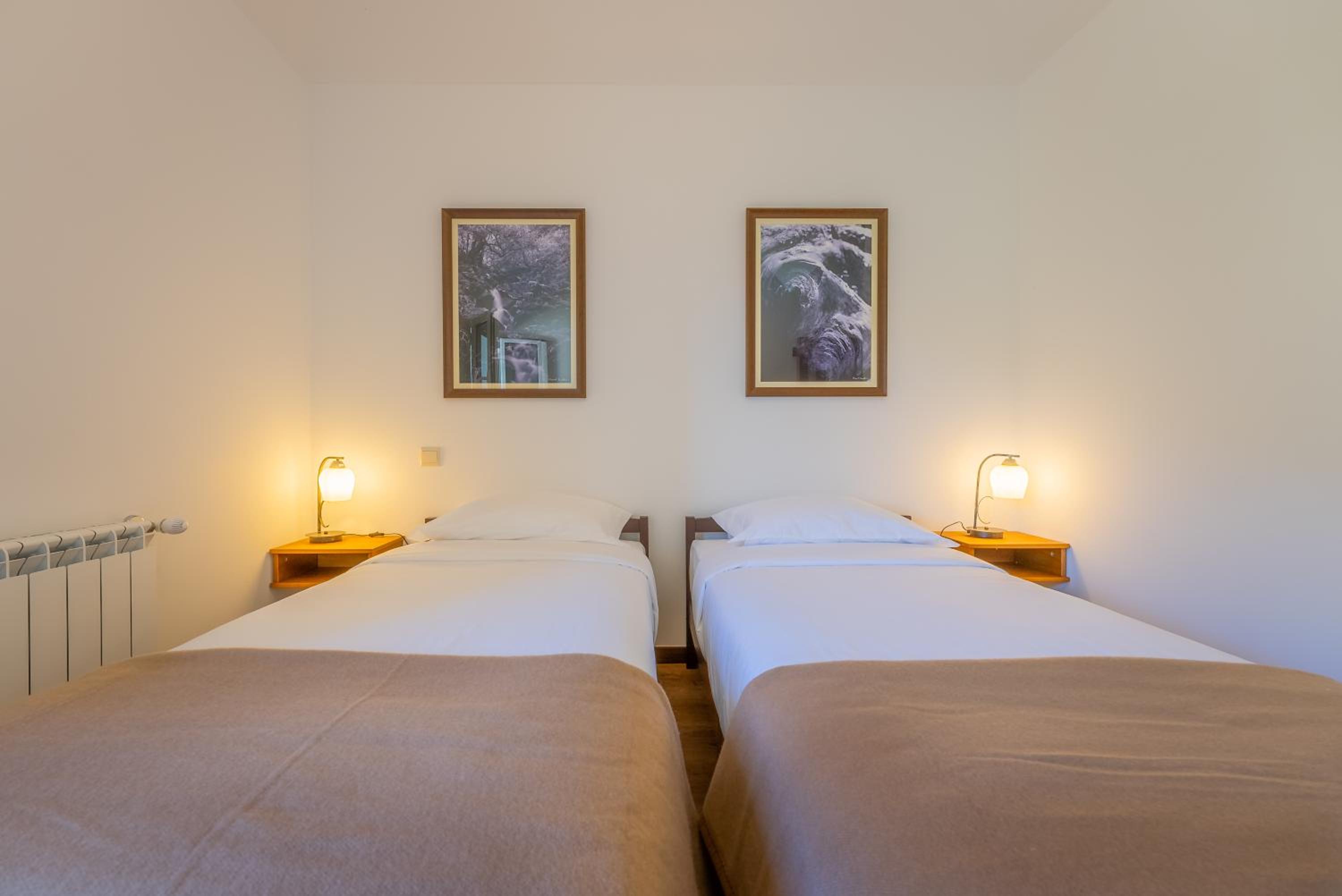 Twin Room with Mountain View photo 2