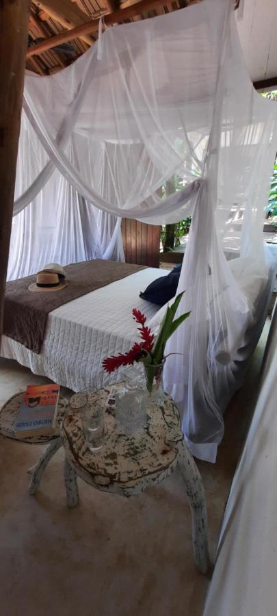 One-Bedroom Bungalow (2 Adults) - Photo 1