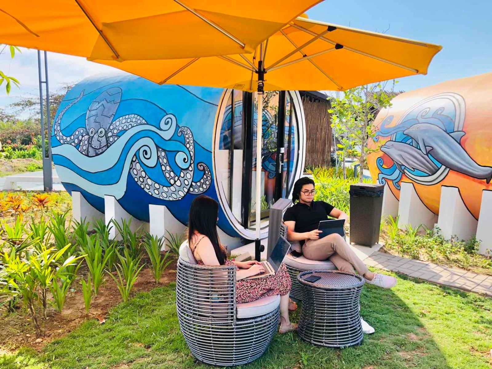 Garden Cocoon - Photo 17
