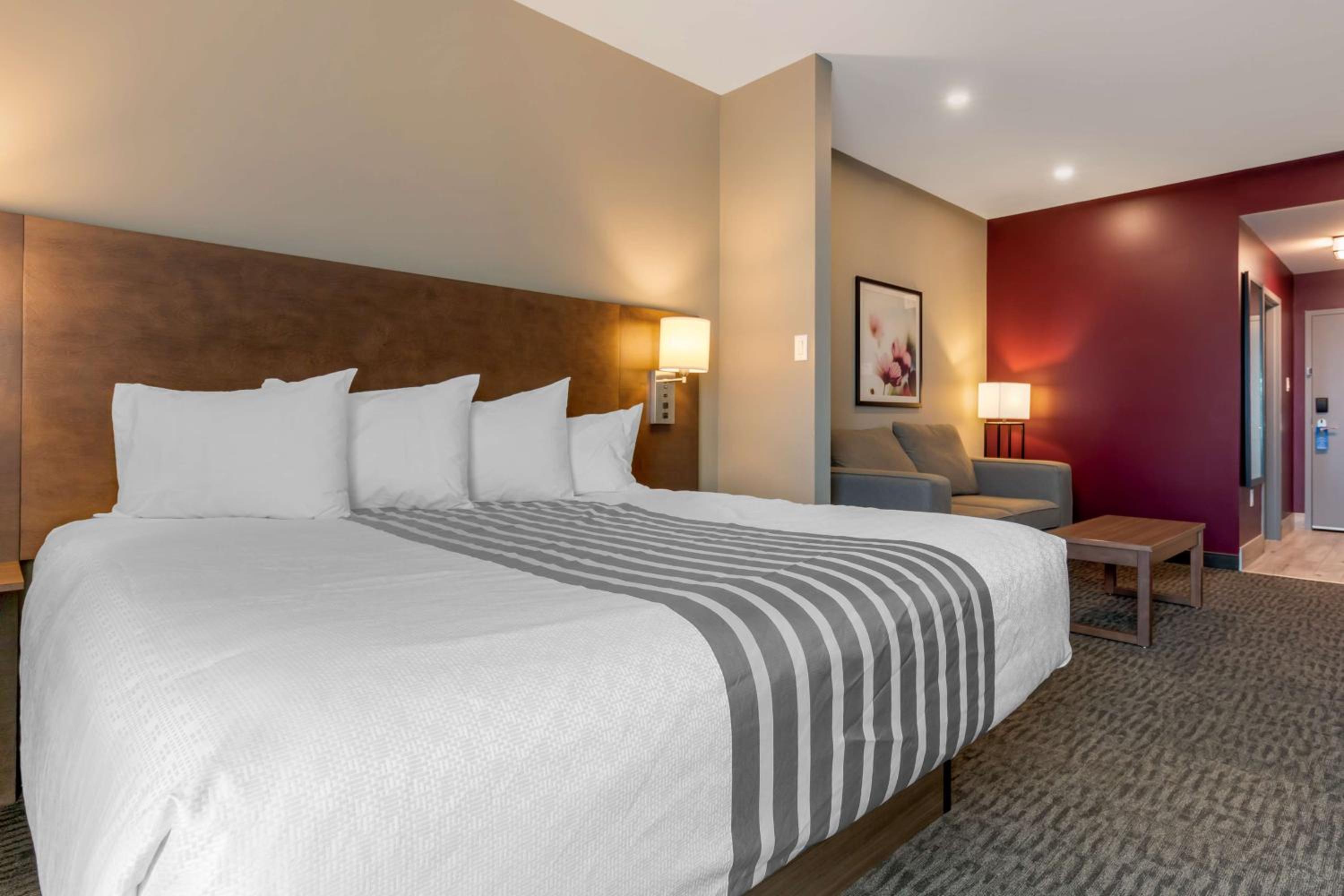 King Suite with Sofa Bed - Non-Smoking - Photo 4