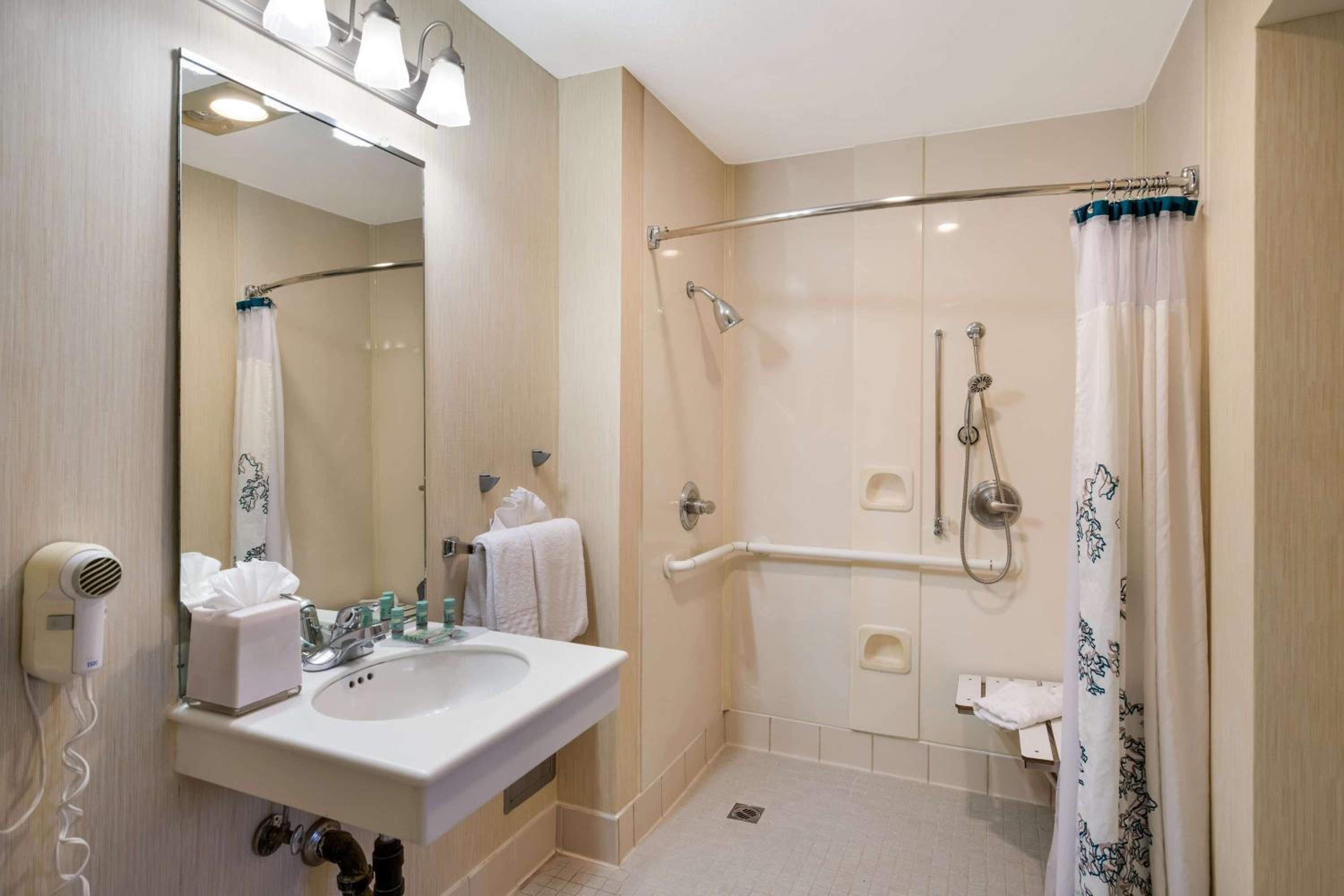 King Suite - Disability Access - Photo 4