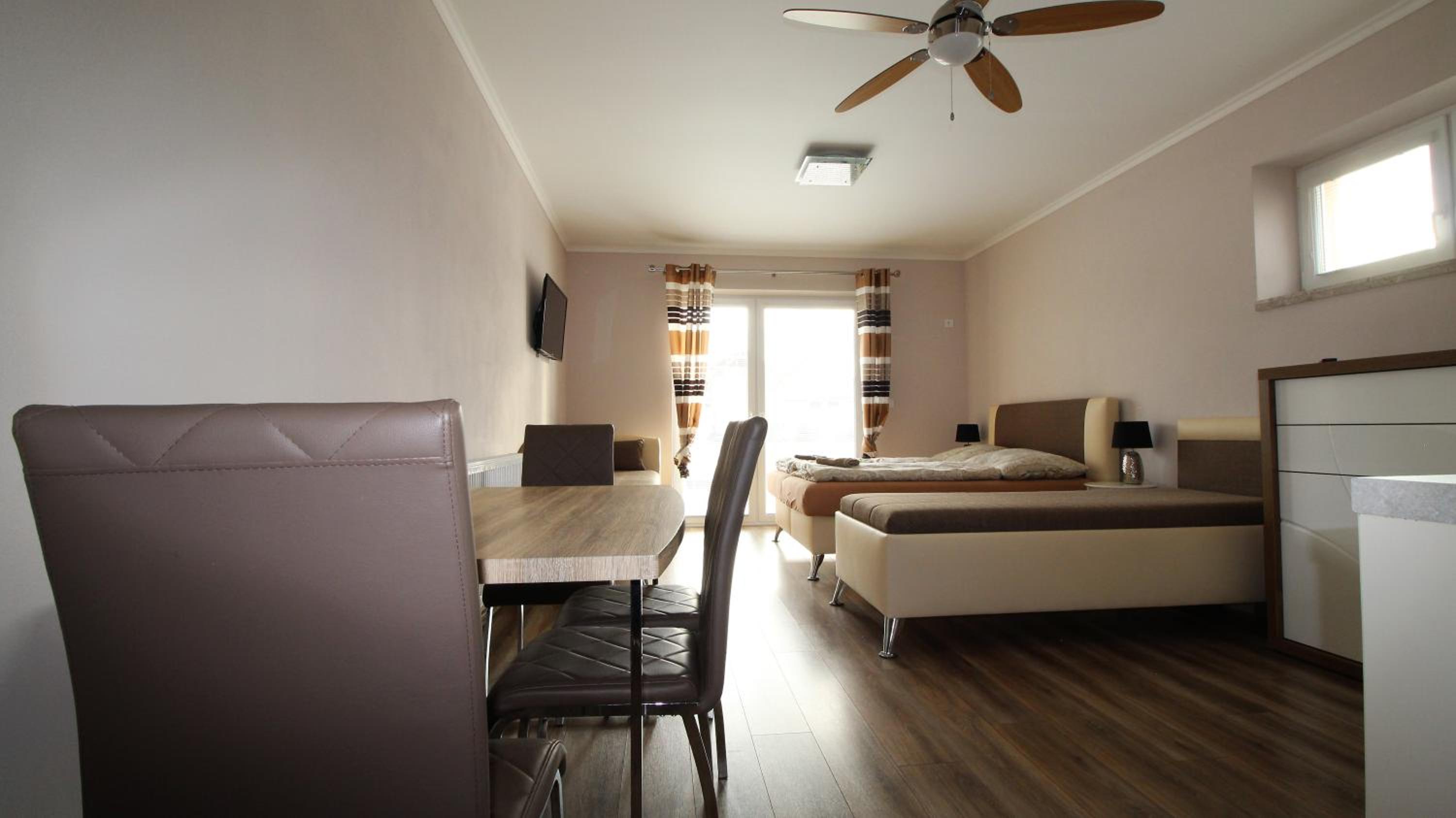 Studio with Terrace photo 3