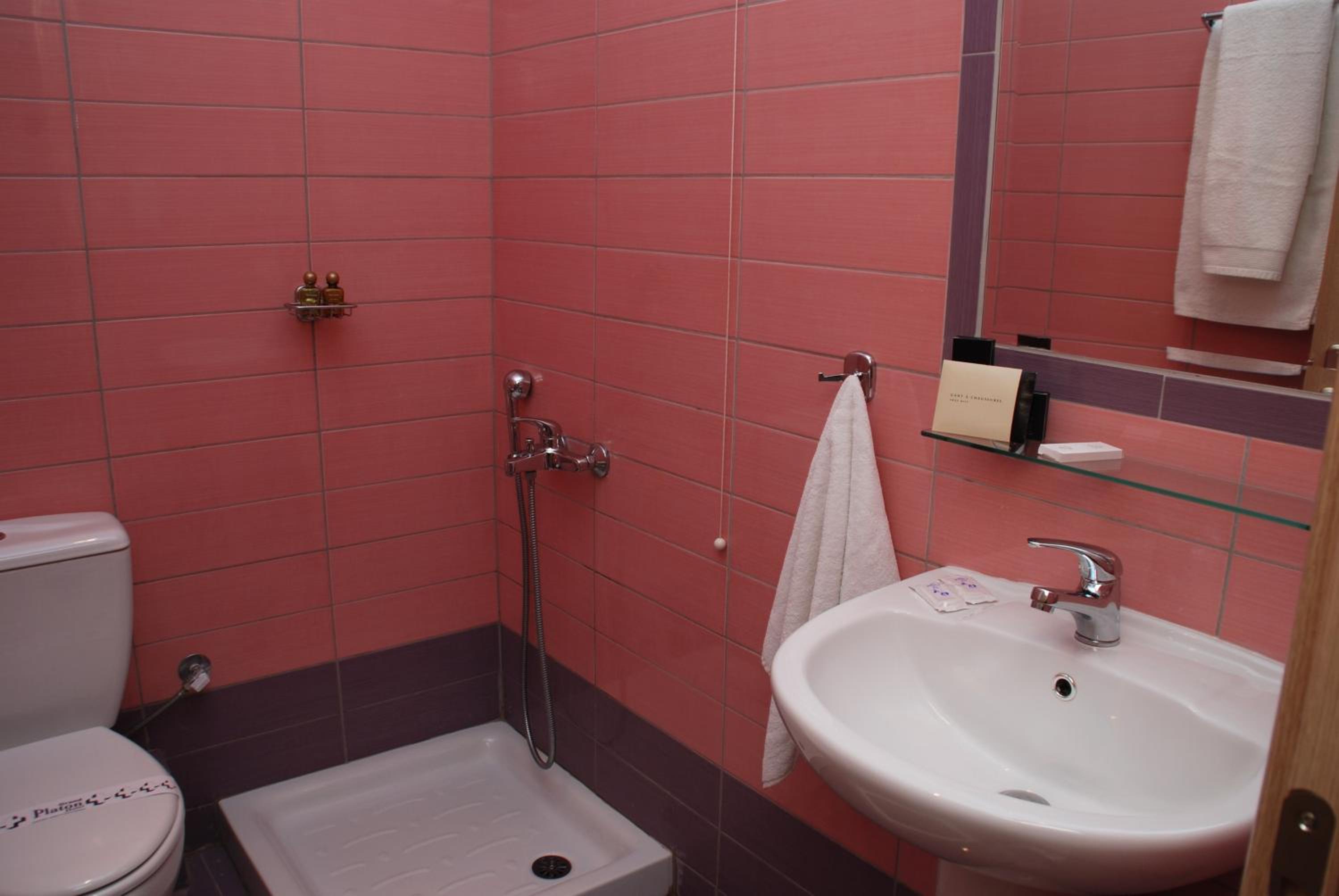 Superior Double or Twin Room photo 3