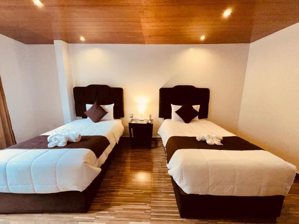 Double Room photo 3