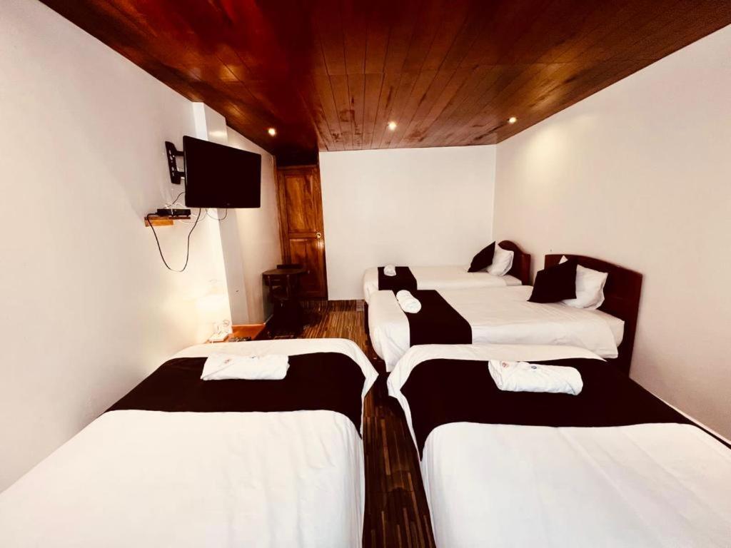 Quadruple Room photo 2
