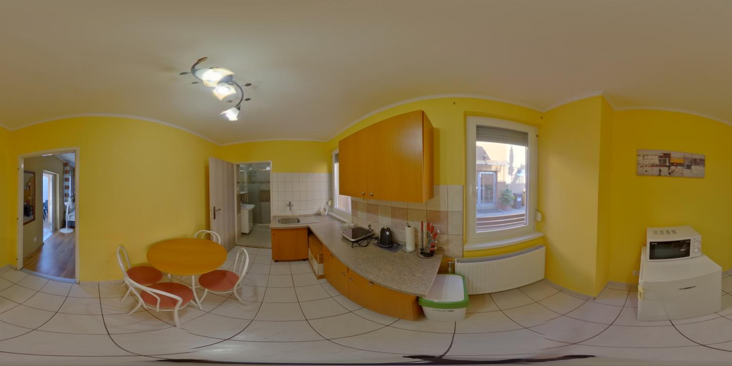 Apartment with Terrace photo 3