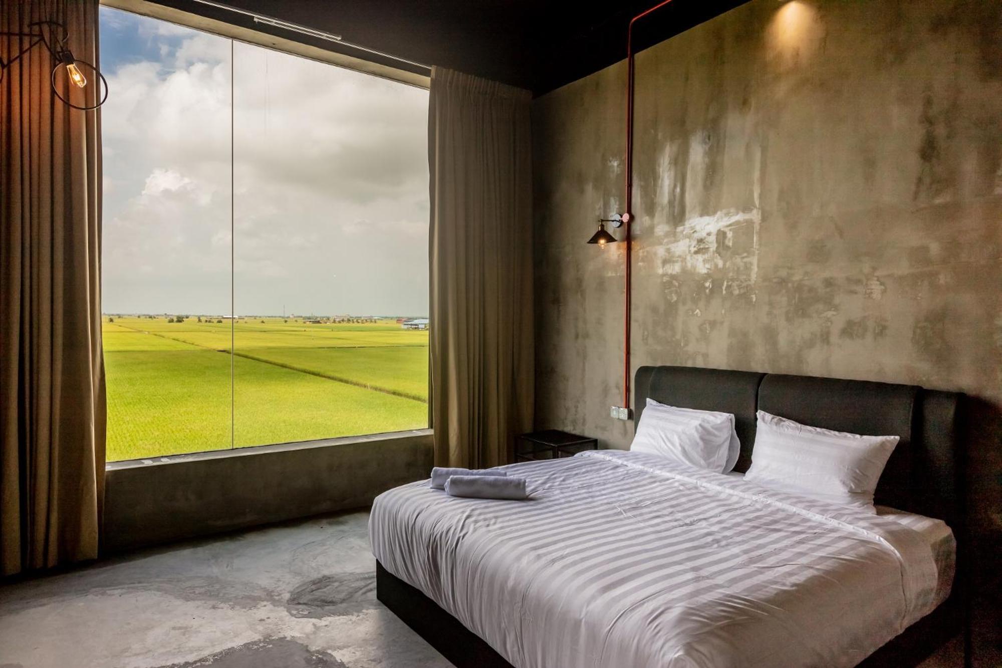 Deluxe King Room - Photo 4