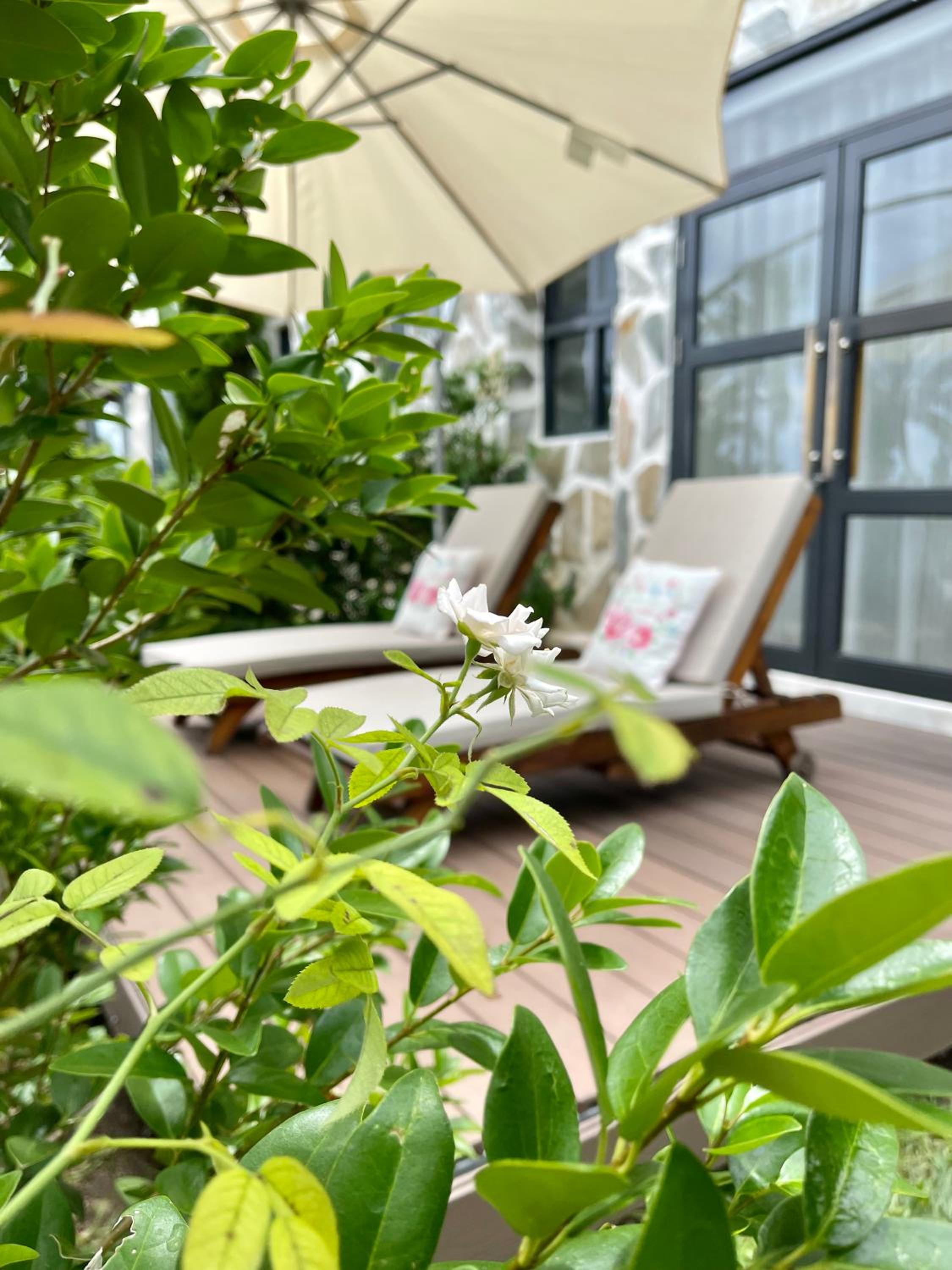 Queen Room with Garden View photo 3