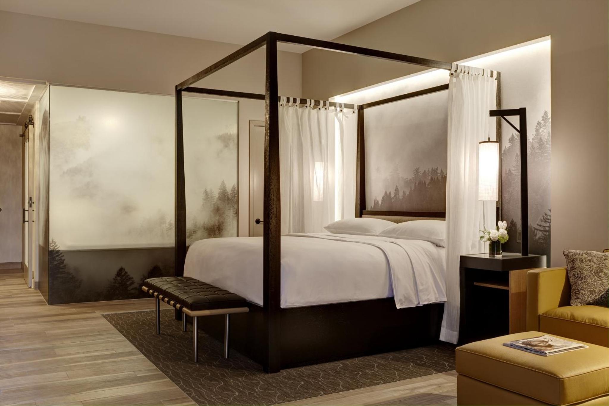 Archer King Mobility-Accessible Suite With Balcony + Fireplace, Roll-in Shower photo 1