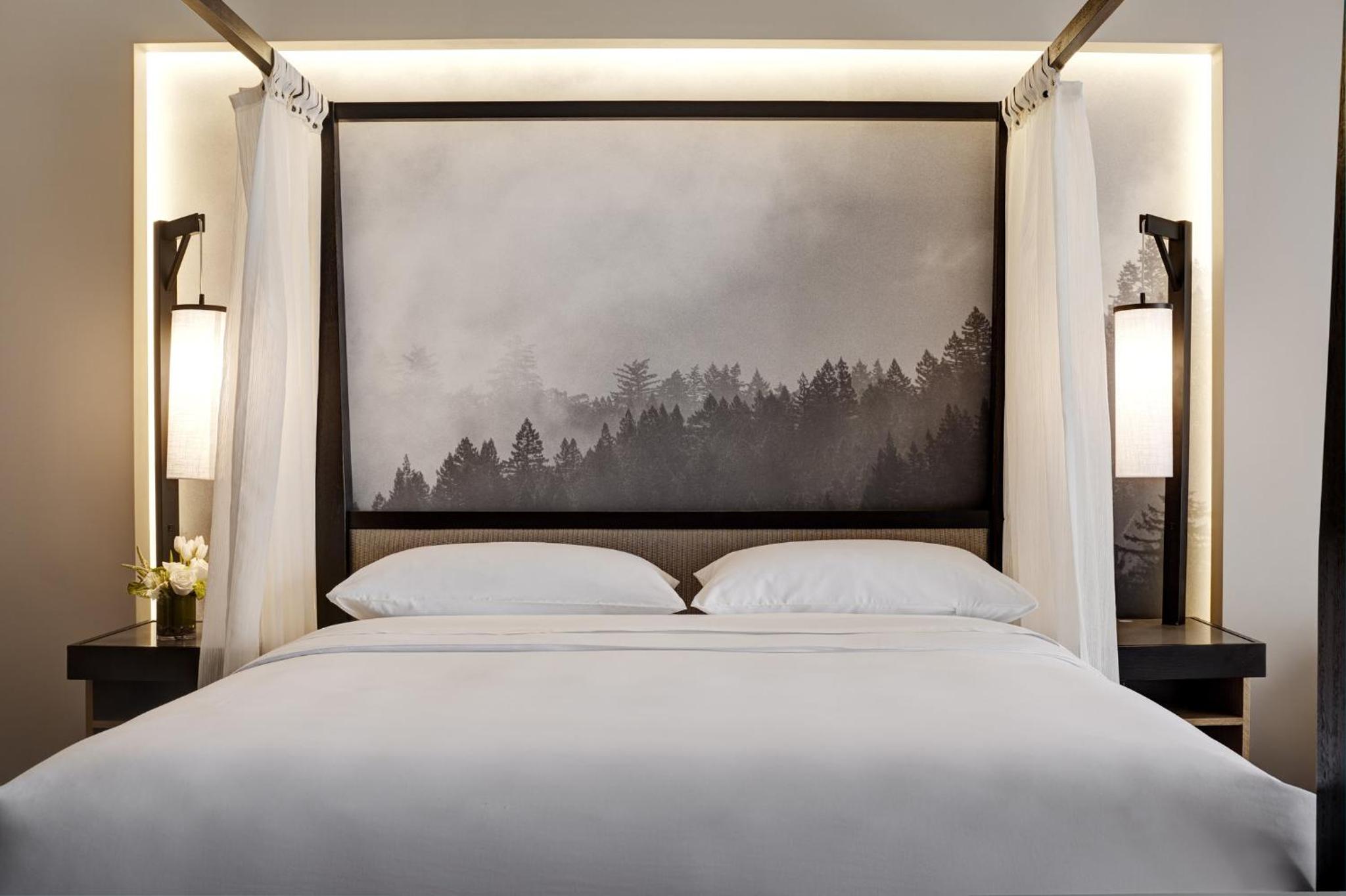 Archer King Mobility-Accessible Suite With Balcony + Fireplace, Roll-in Shower photo 2