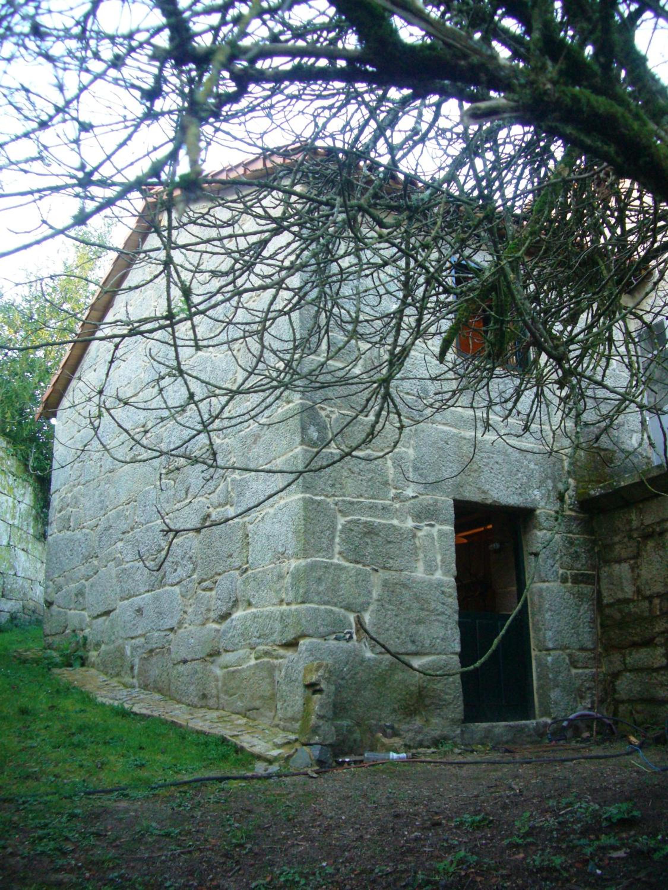 Deluxe Bungalow photo 3