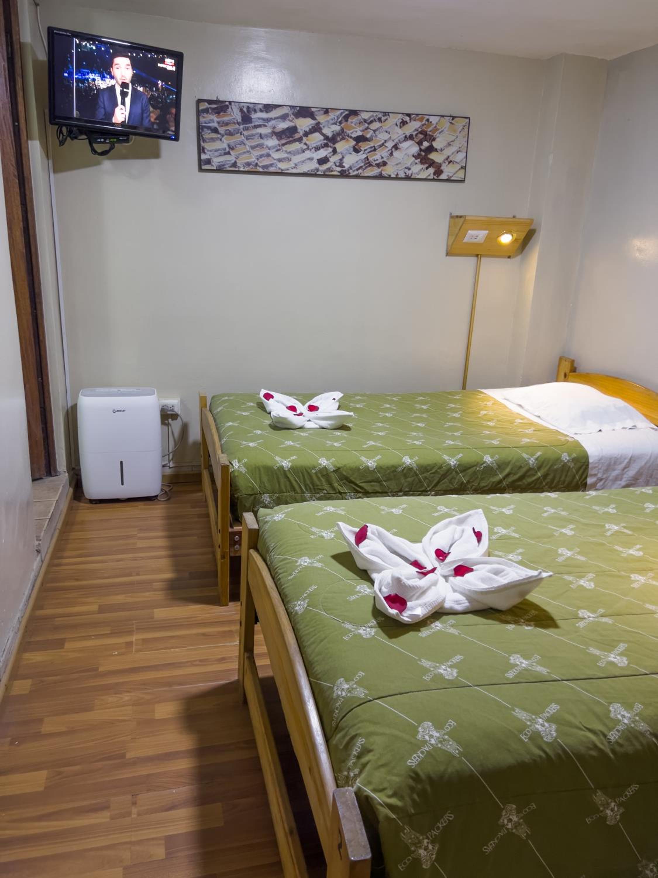 Twin Room photo 1