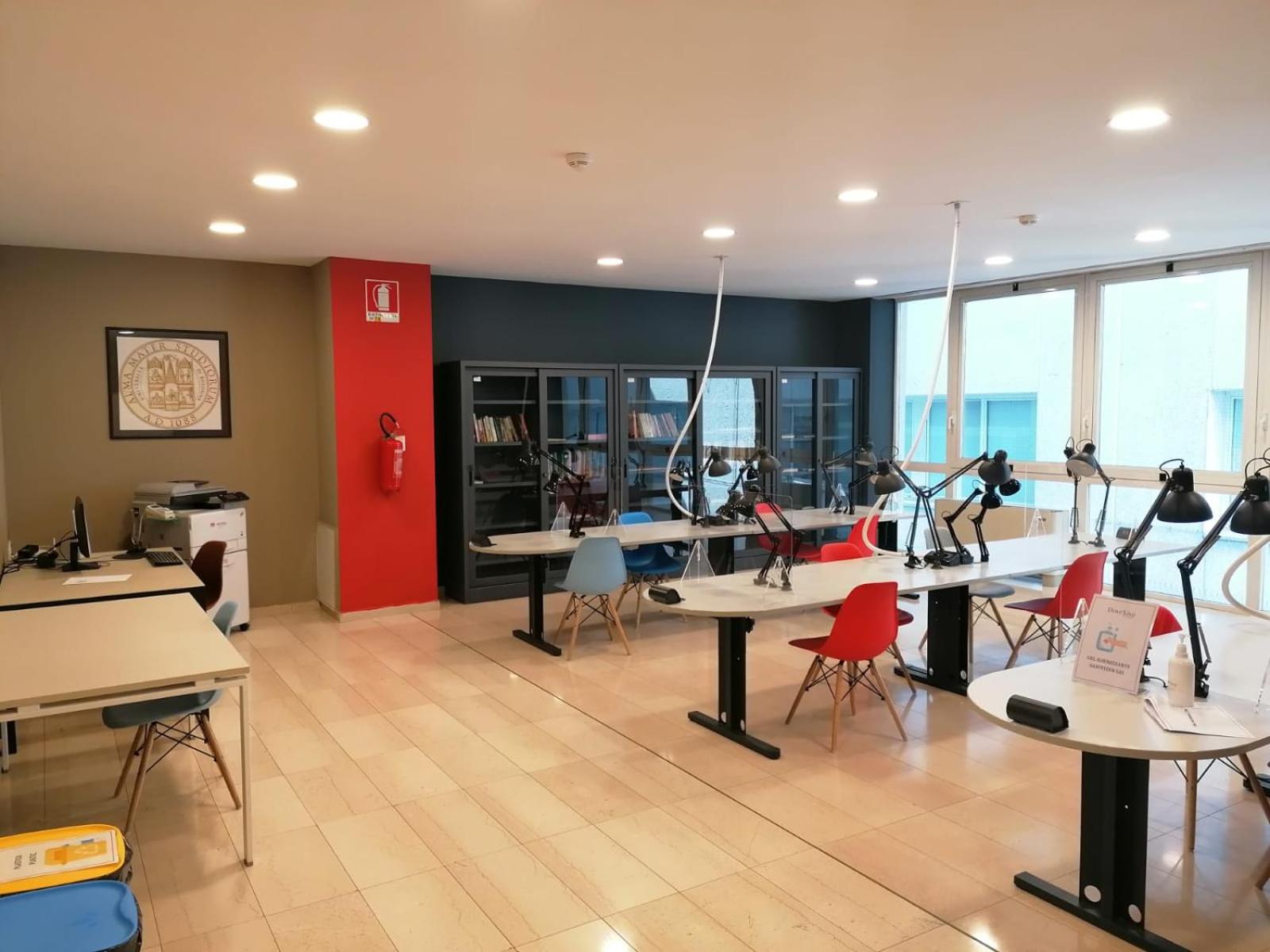 Deluxe Studio - Photo 3