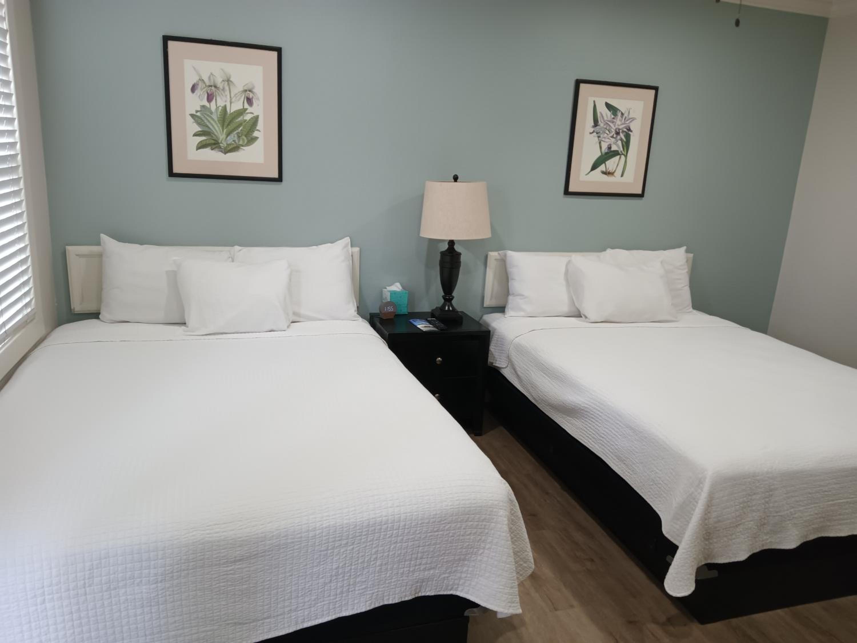 Standard Queen Room photo 2