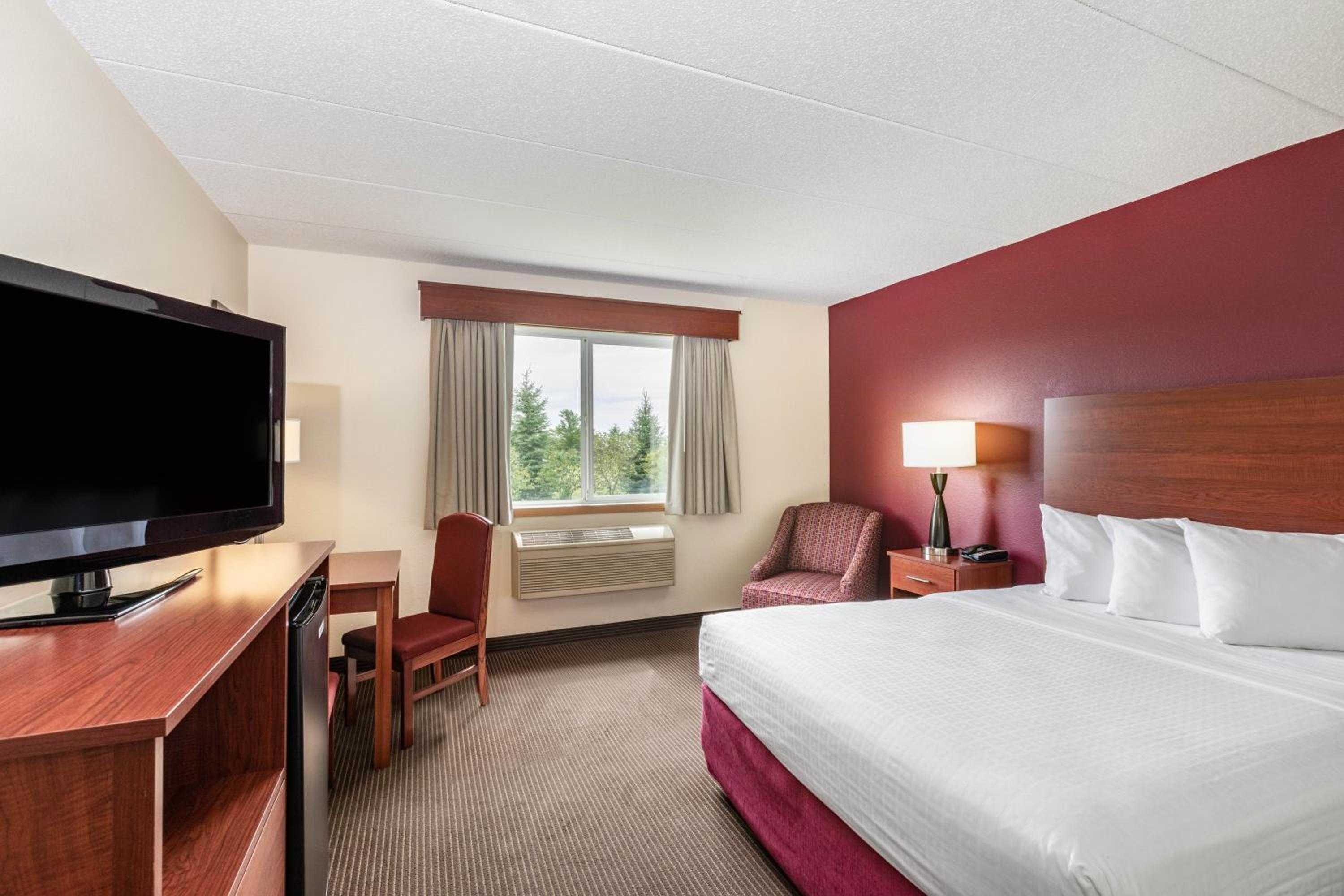 Queen Room - Mobility Access - Photo 1