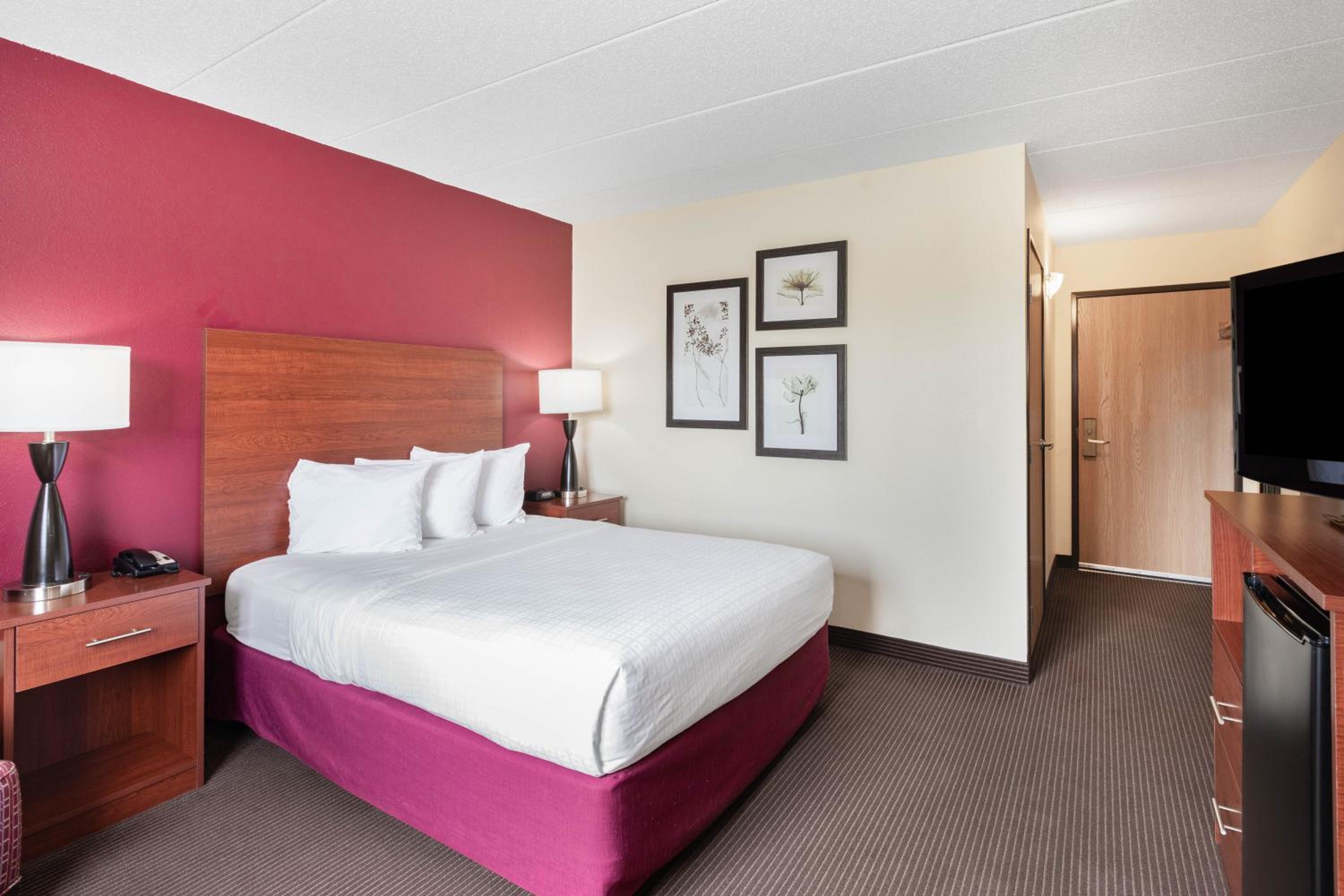 Queen Room - Mobility Access - Photo 4