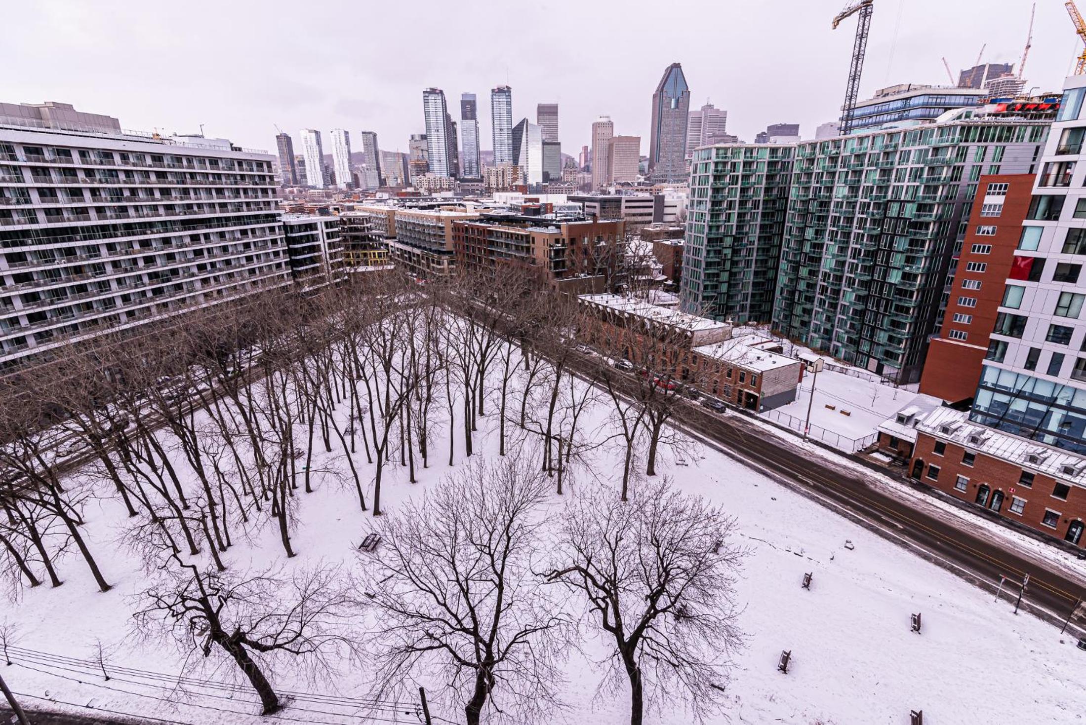 Premium - City View - Photo 6