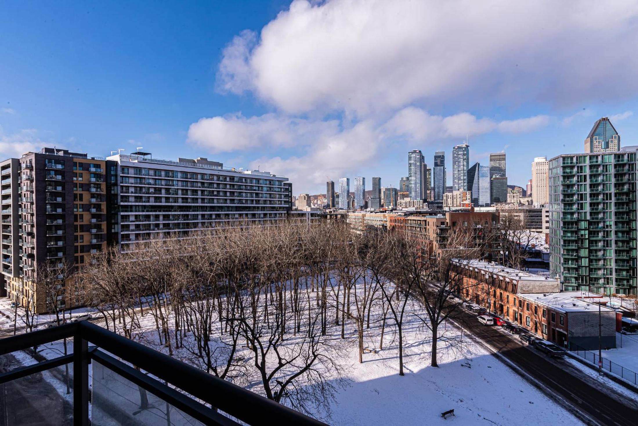 Premium Plus - City View - Photo 47