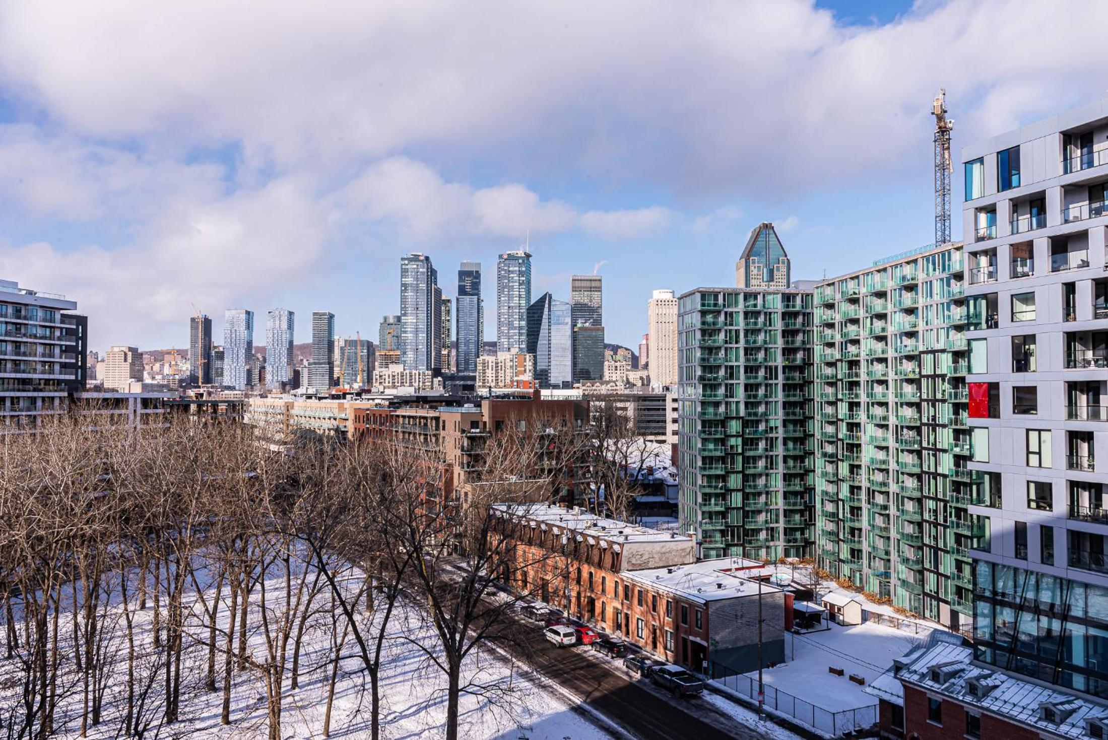 Premium Plus - City View - Photo 40