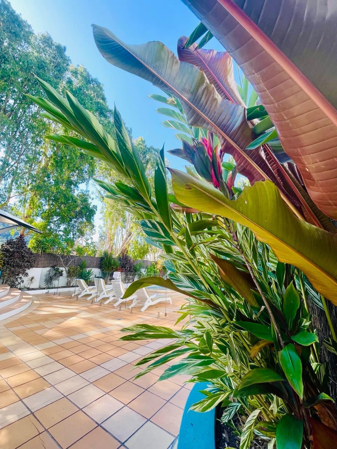 One-Bedroom Apartment with Beach View - Photo 25