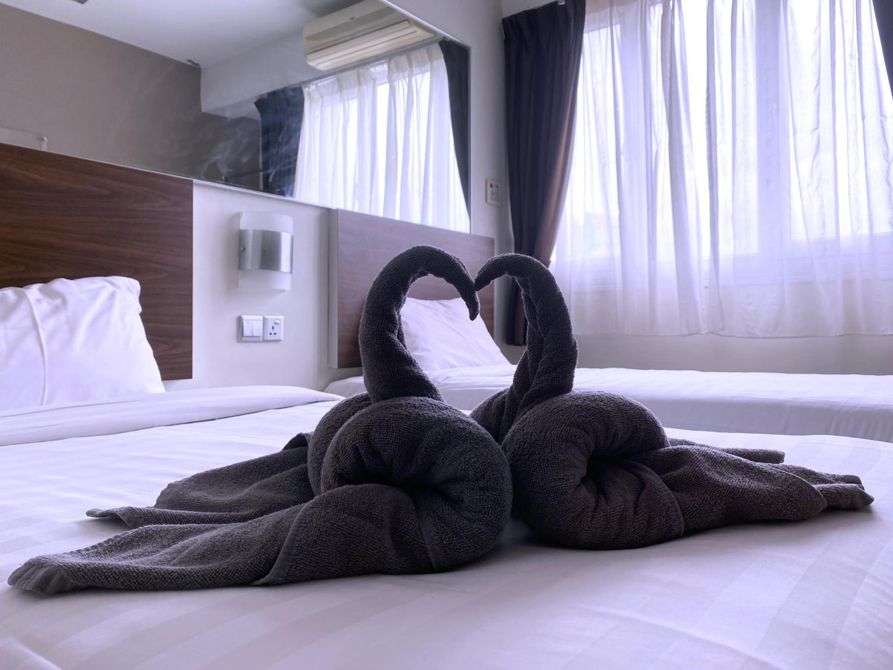 Twin Room photo 3