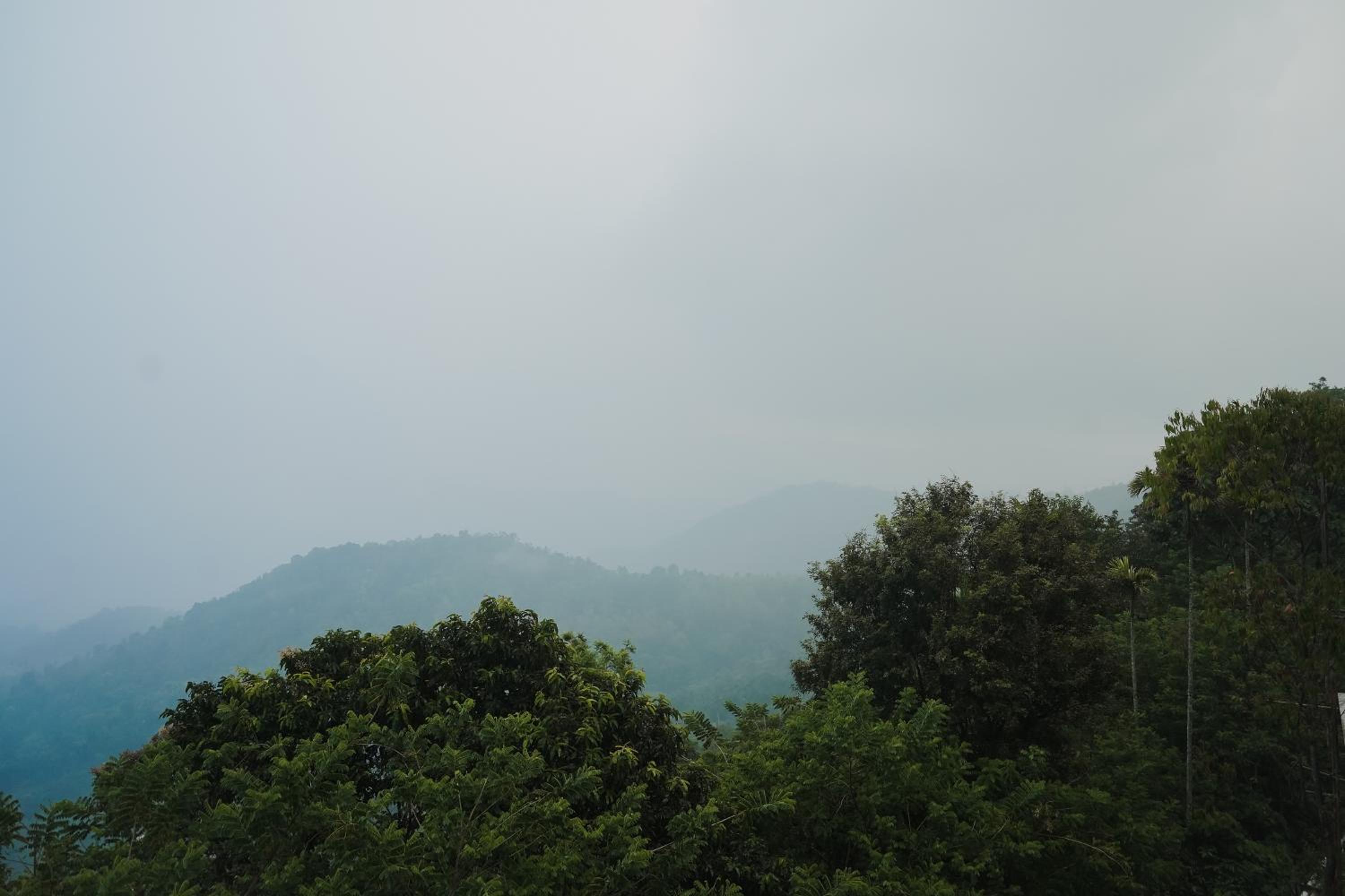 Majestic Ponmudi Dam View Room with Early Check-In upto 2 hours (subject to availability) - Photo 6