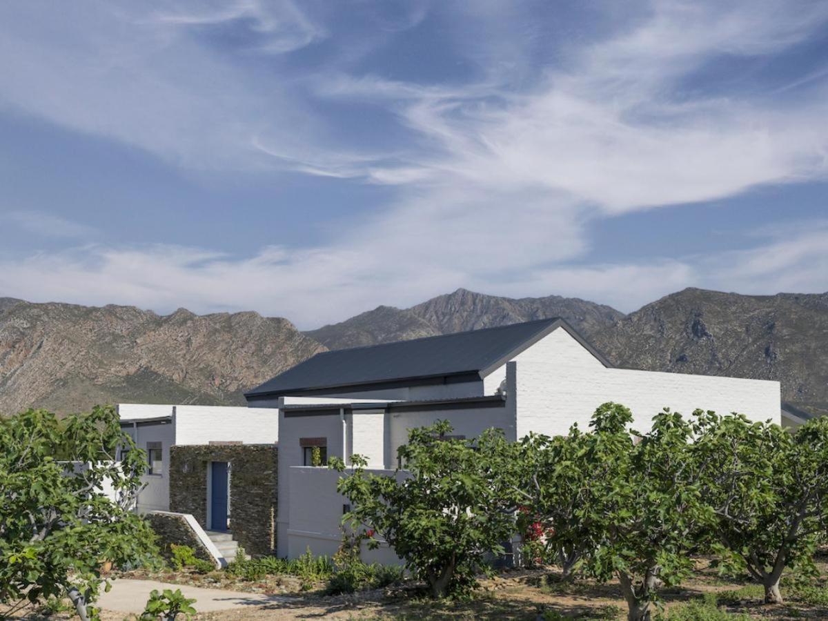 Luxury Villa photo 3