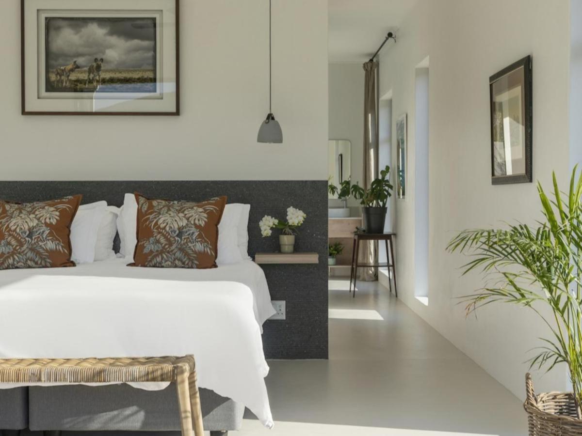 Luxury Villa photo 1