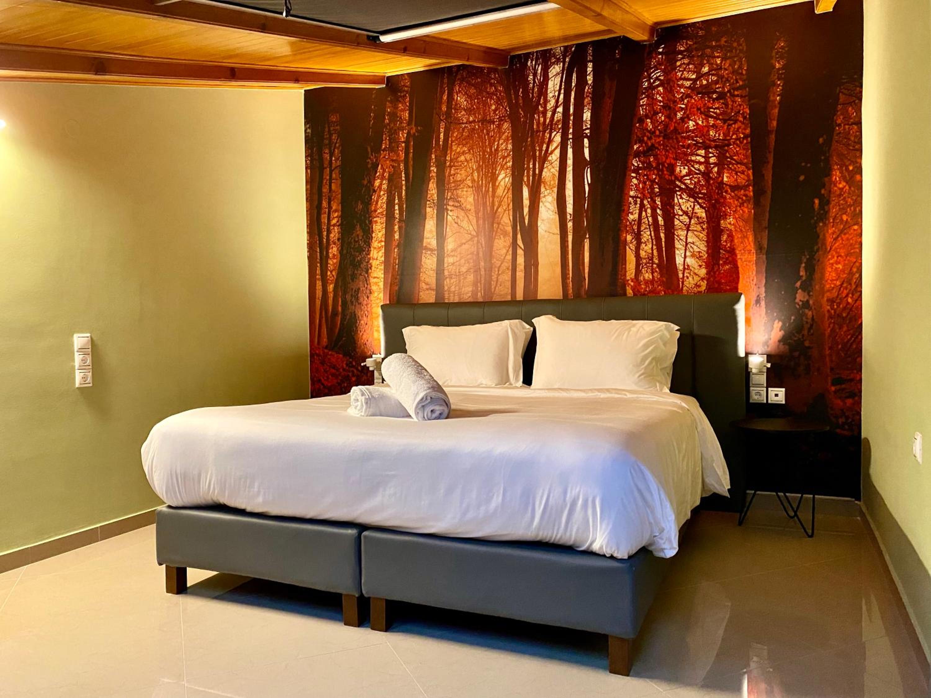 Family Suite - Photo 2