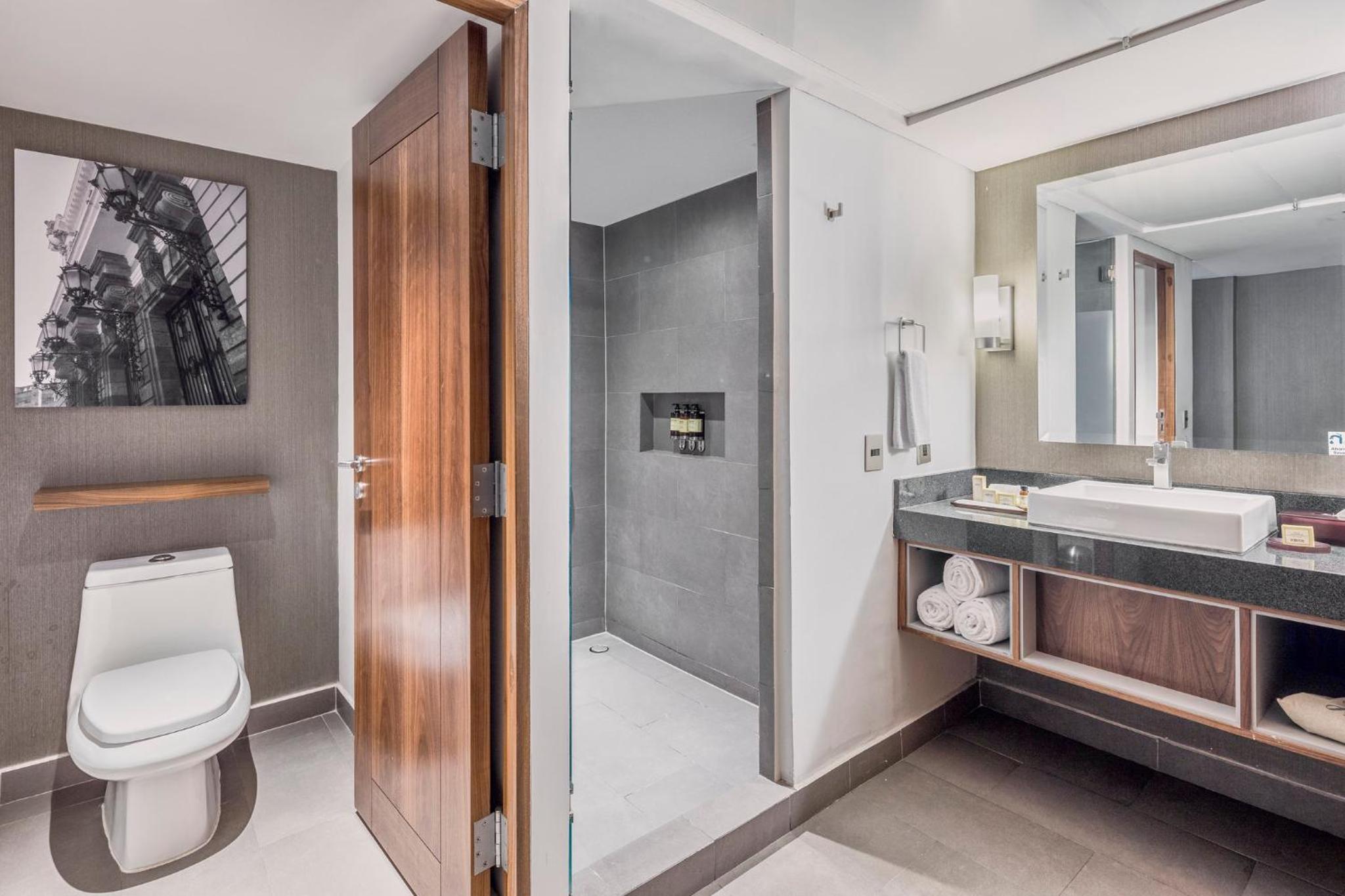 Premium Room, 1 King - Photo 2