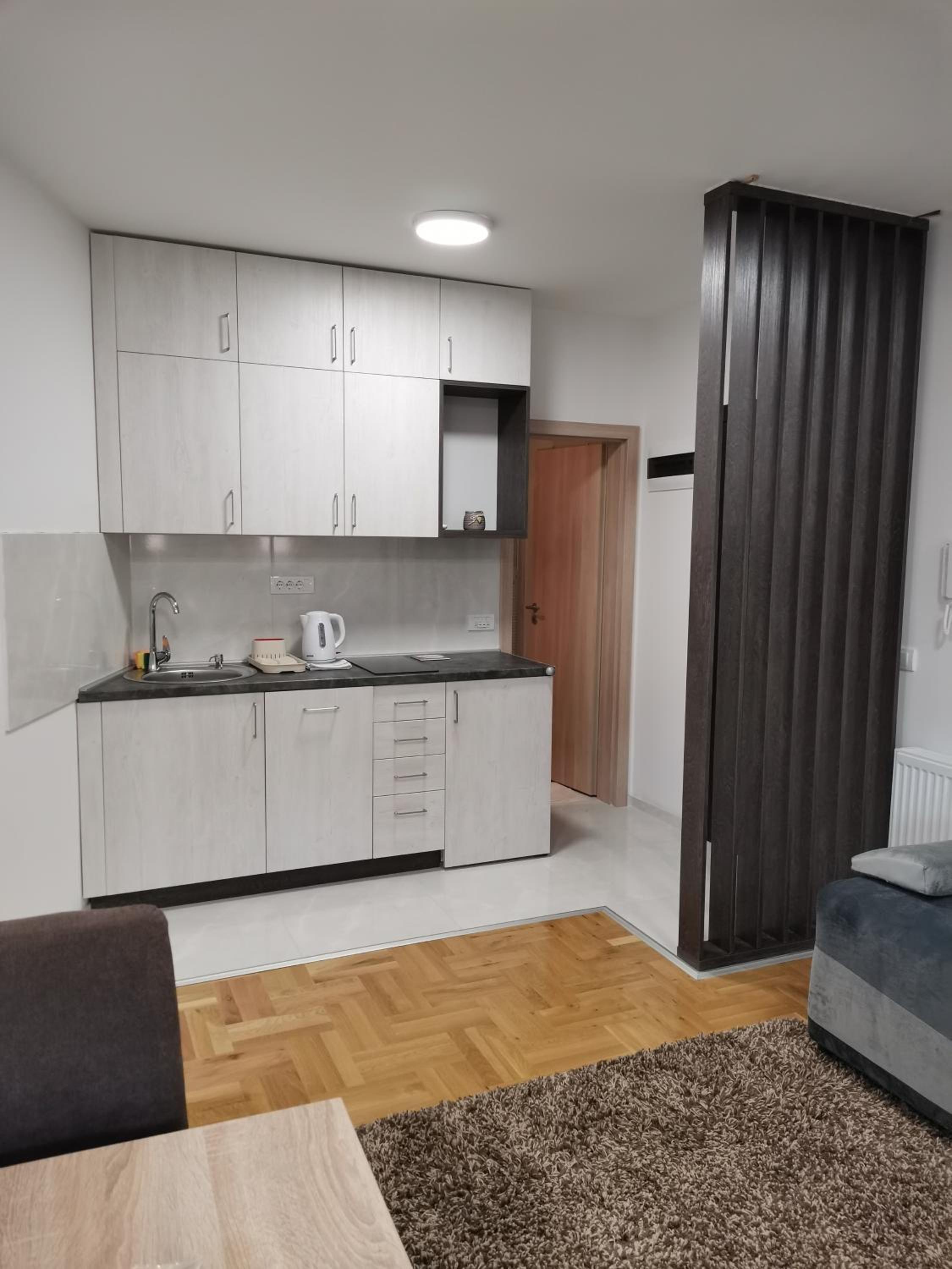 One-Bedroom Apartment photo 2