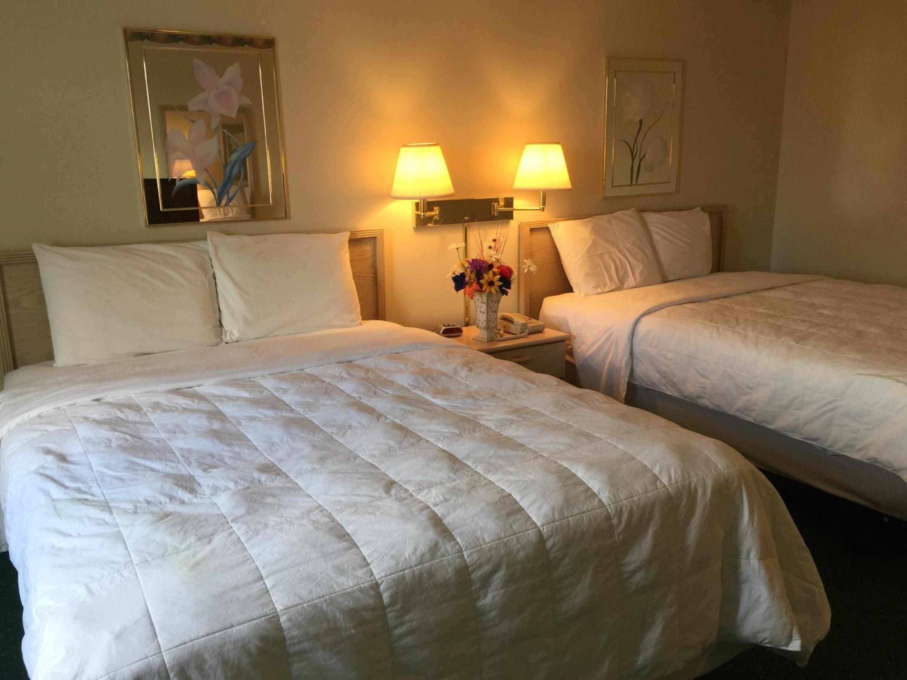 Queen Room photo 3