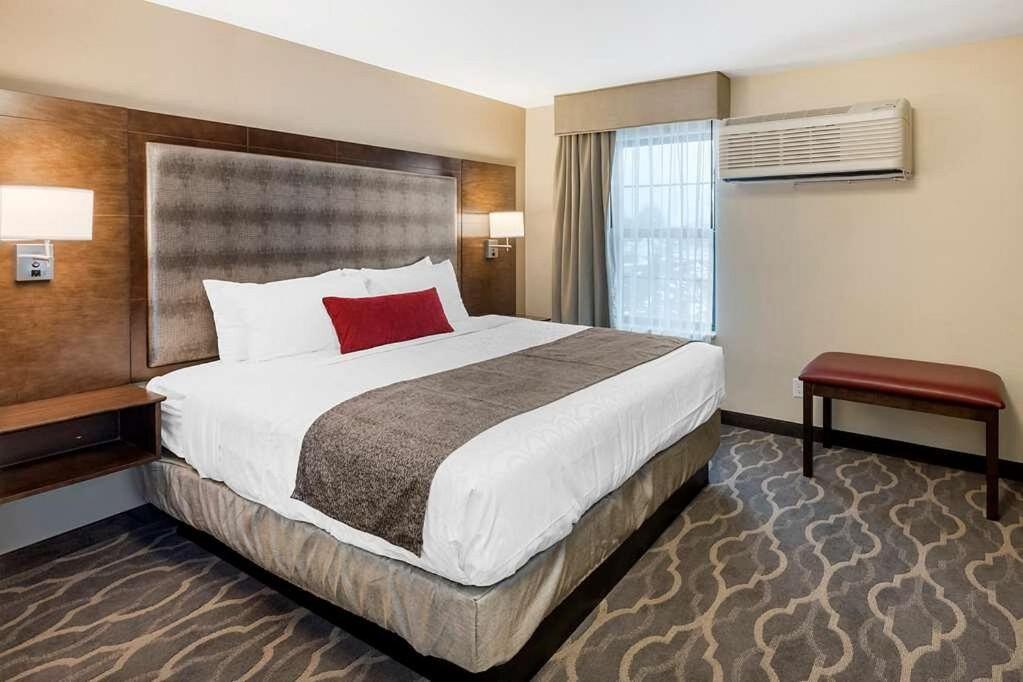 KING BED-STUDIO SUITE-SOFABED-NON SMOKING - Photo 1