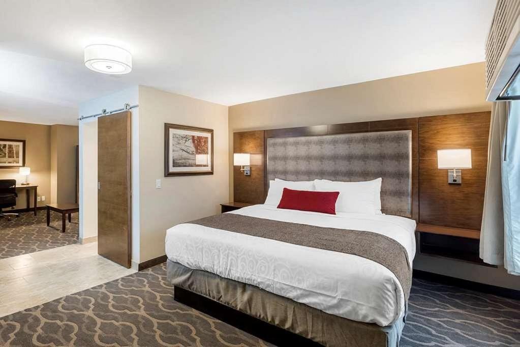 KING BED-STUDIO SUITE-SOFABED-NON SMOKING - Photo 7